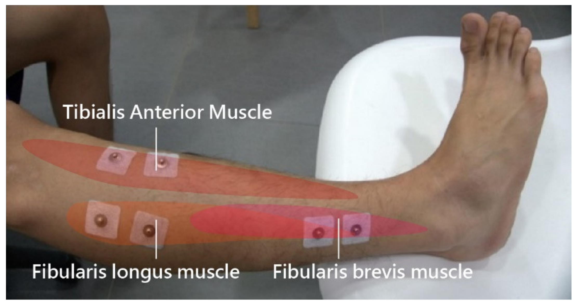 Healthcare 09 01009 g001