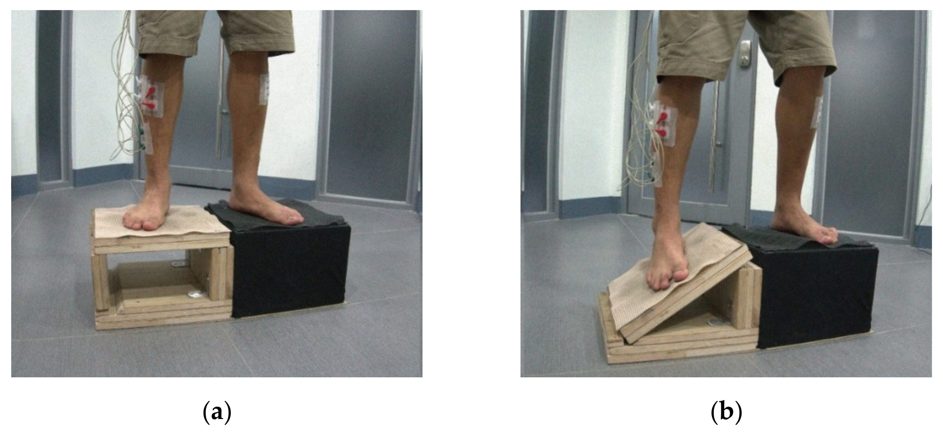 Healthcare 09 01009 g003