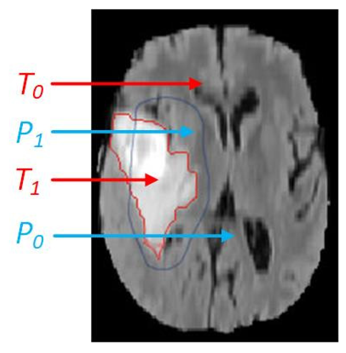 Healthcare 09 01051 g002