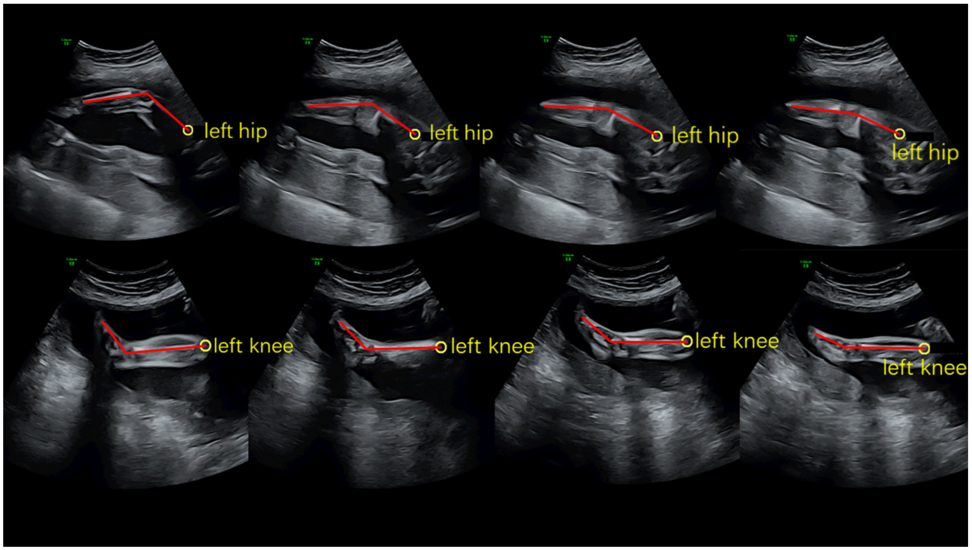 Healthcare 09 01057 g001
