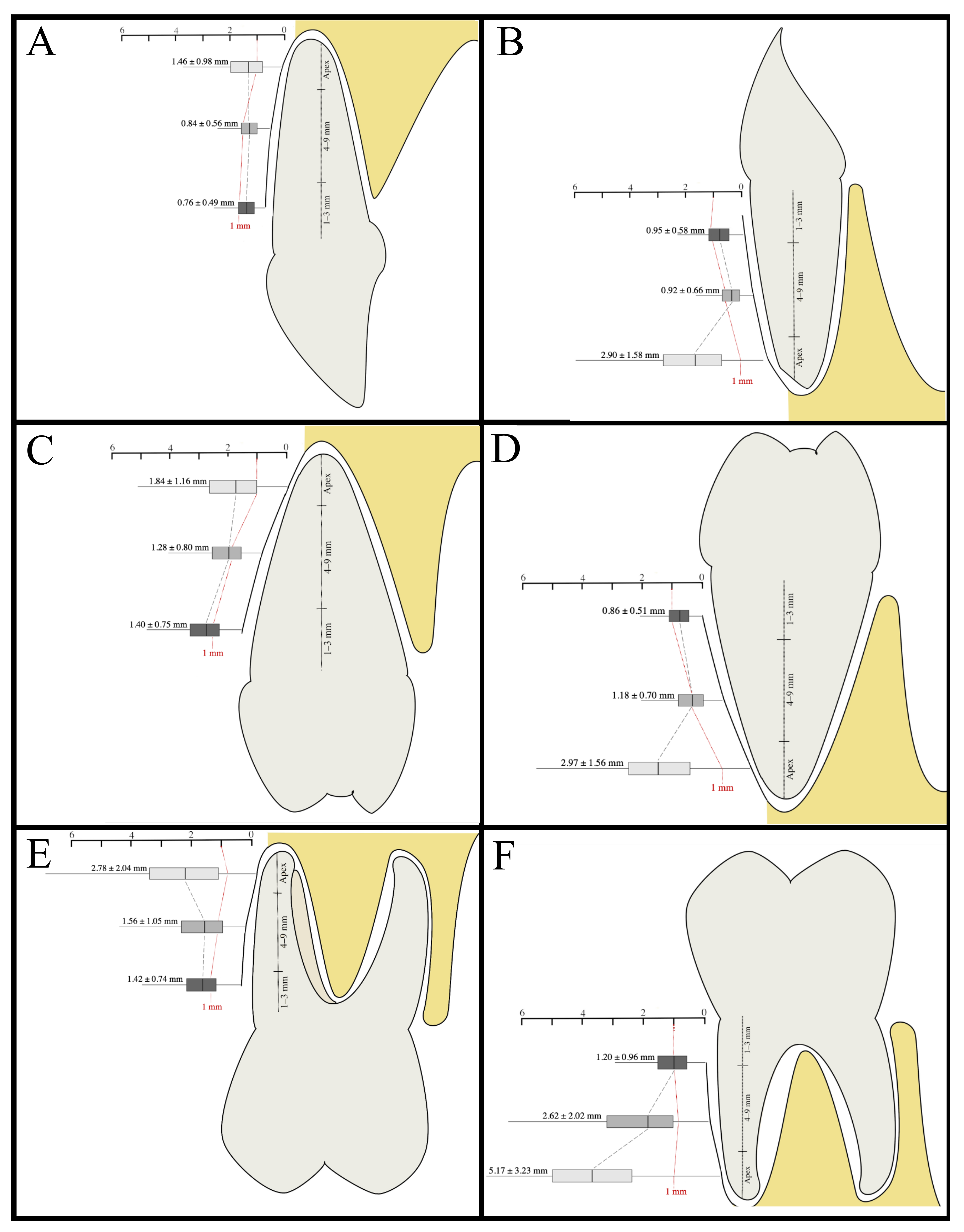 Healthcare 09 01663 g003