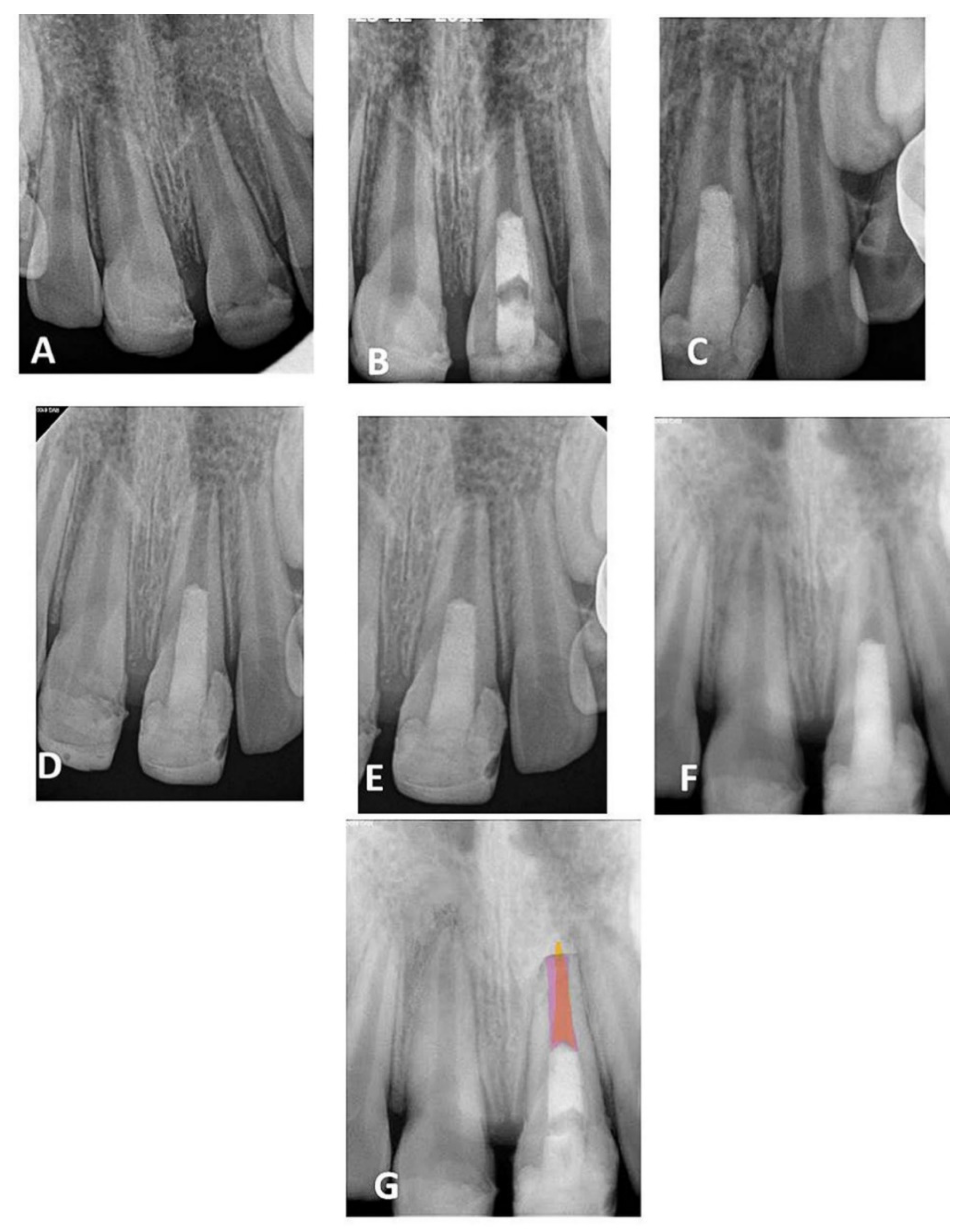 Healthcare 09 01670 g001