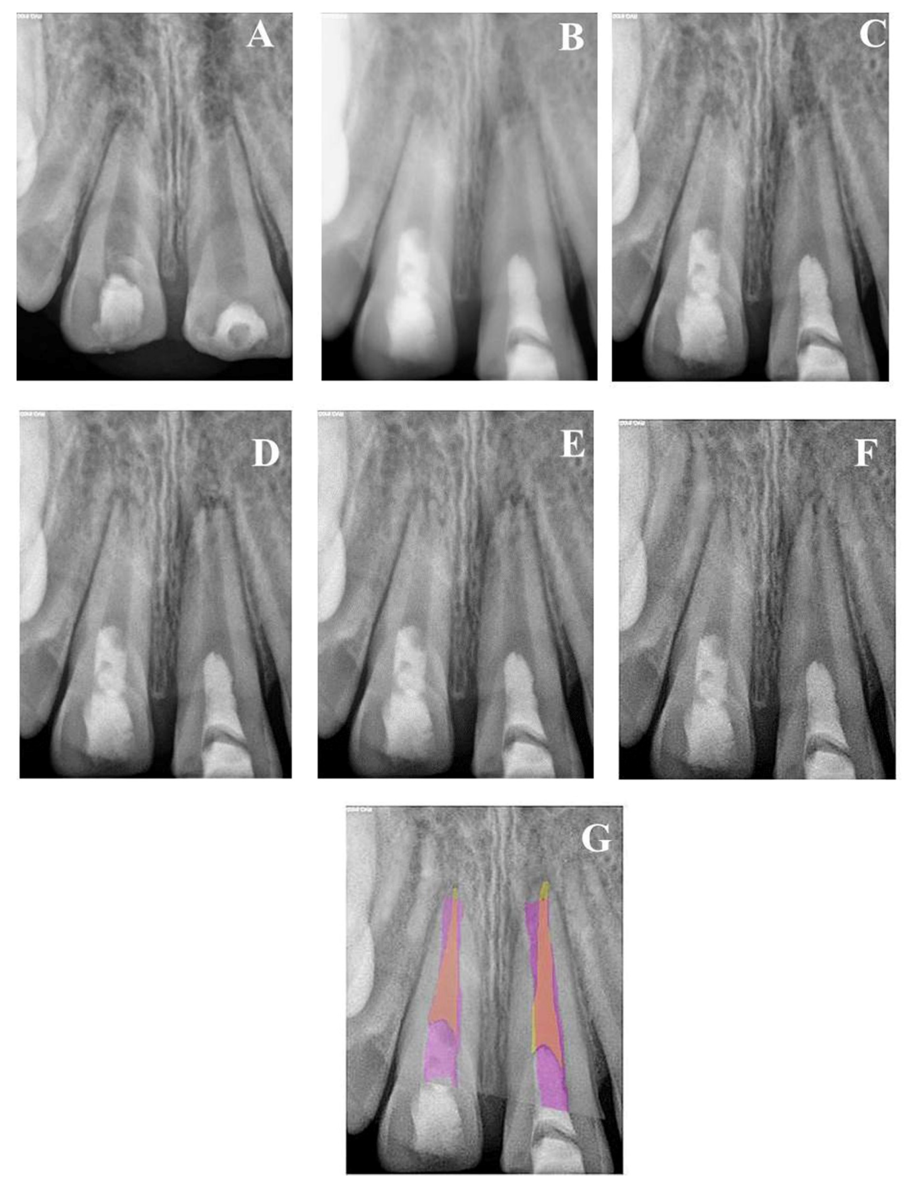 Healthcare 09 01670 g002