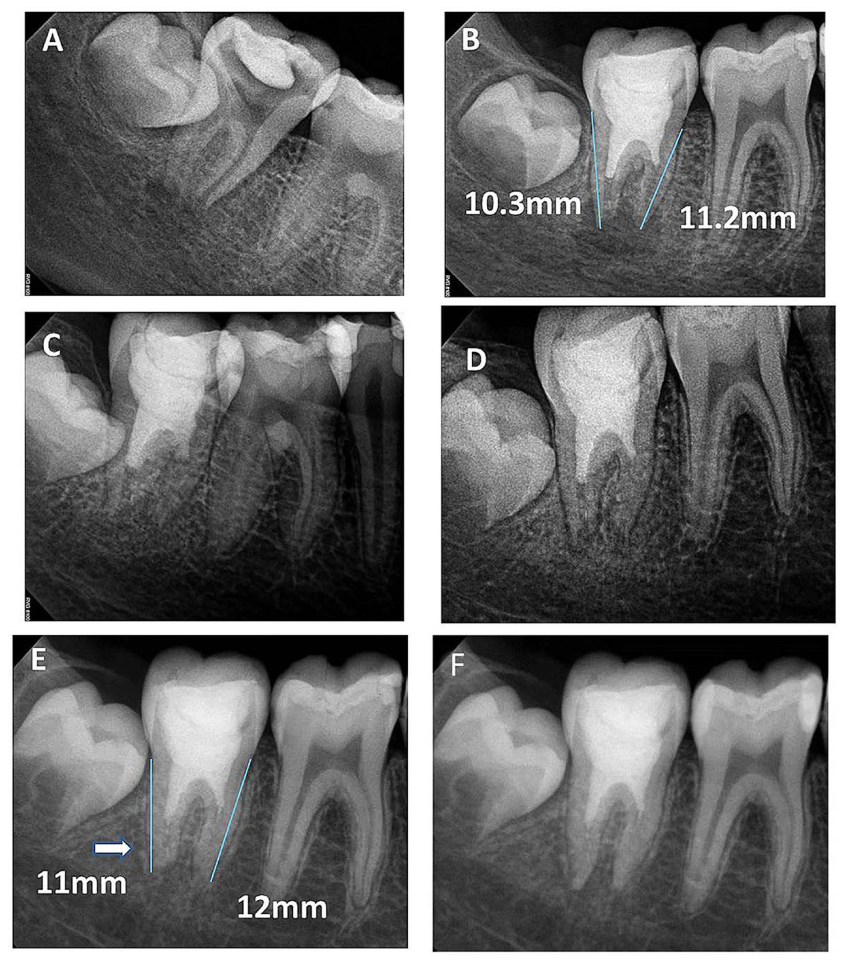 Healthcare 09 01670 g003