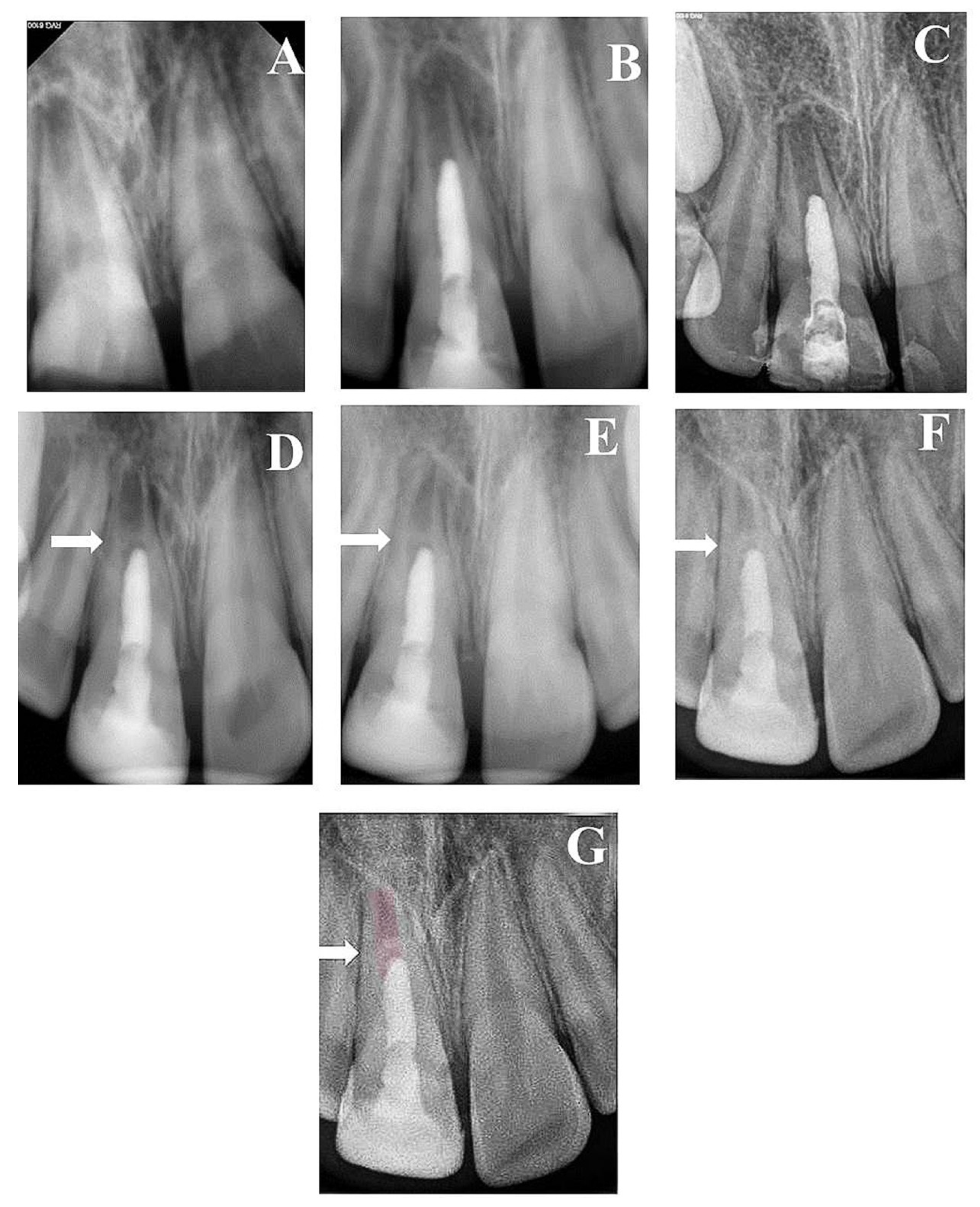 Healthcare 09 01670 g004