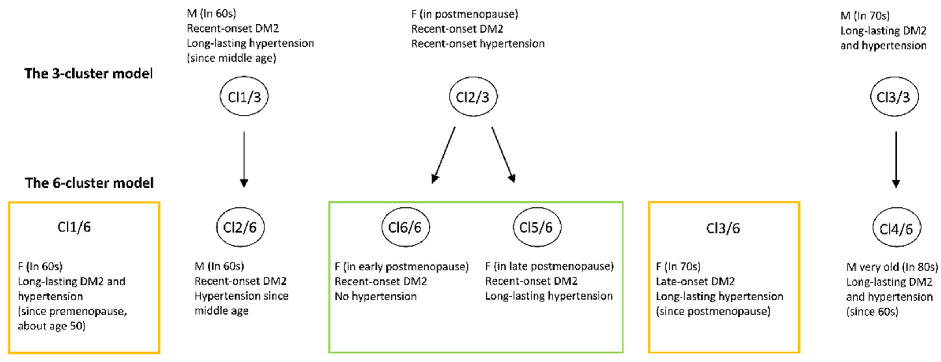 Healthcare 09 01687 g005