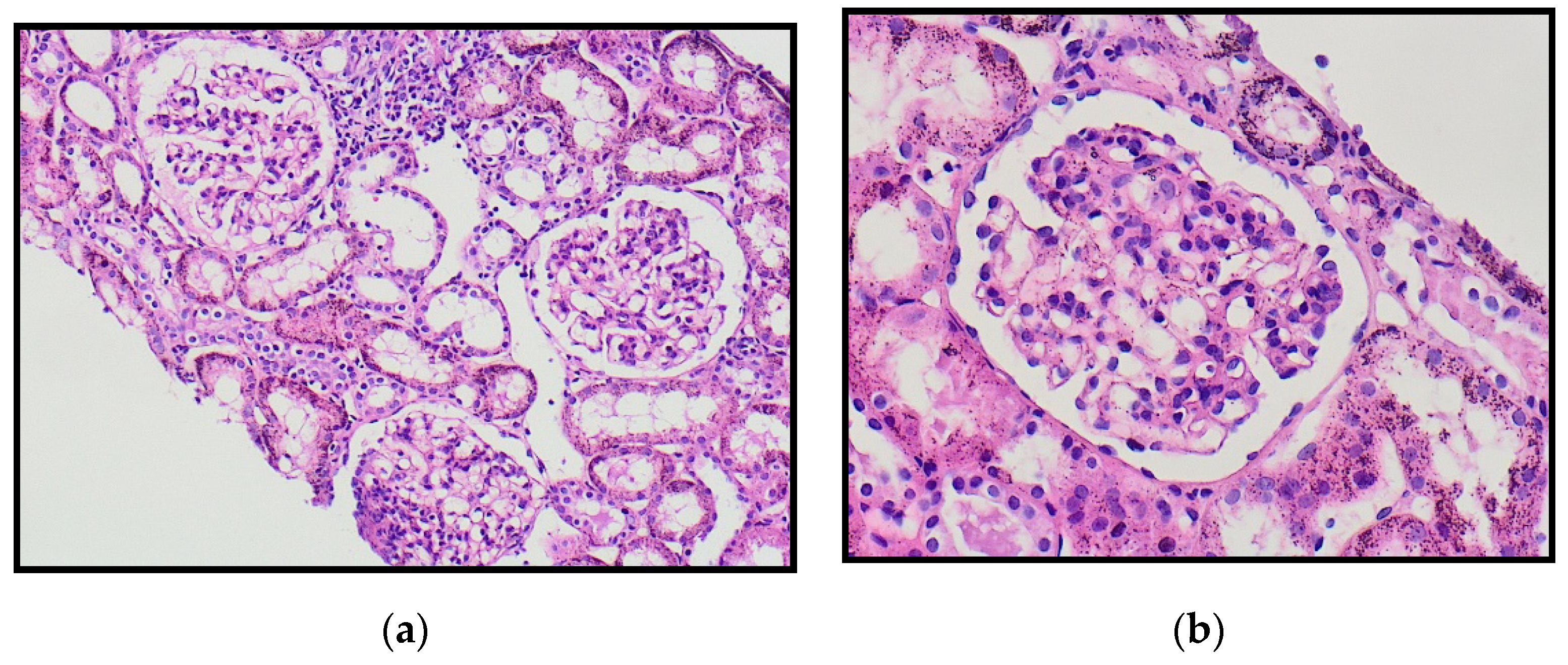 Healthcare 09 01694 g004