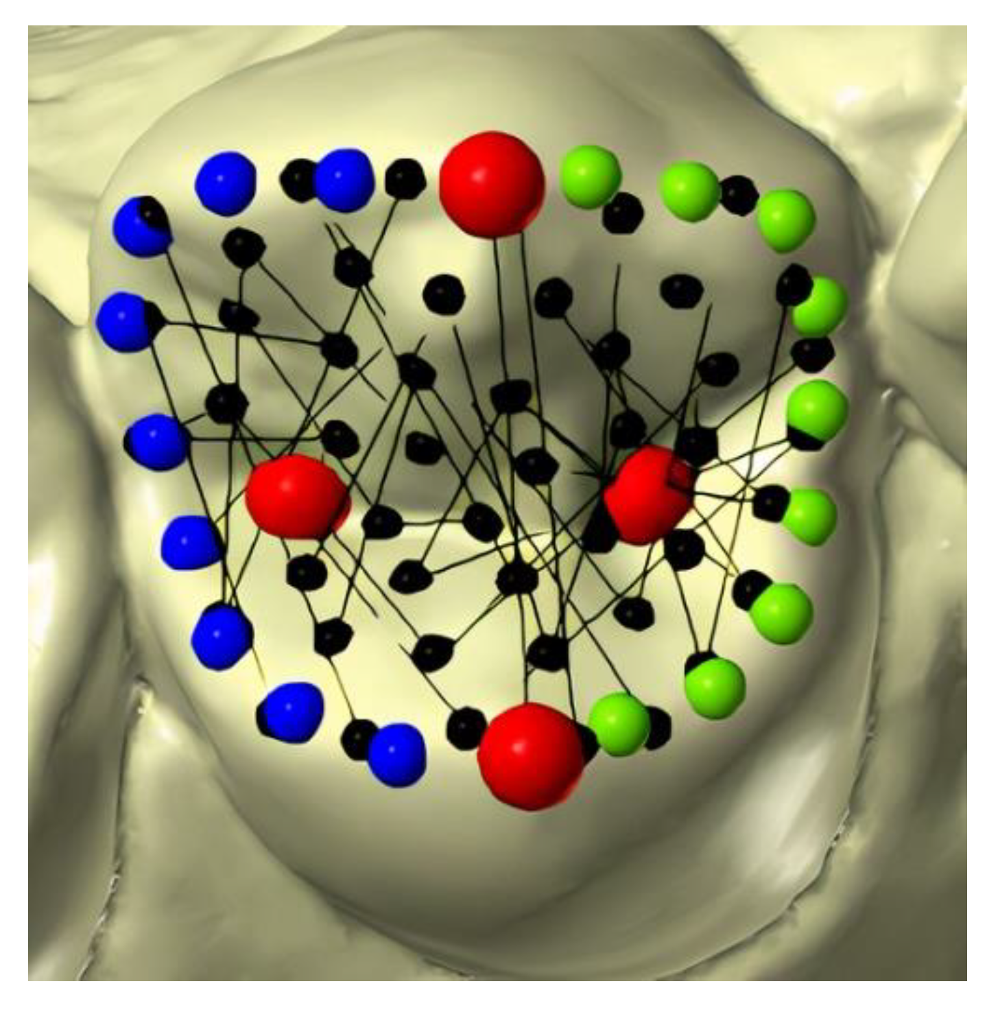 Healthcare 10 00009 g001