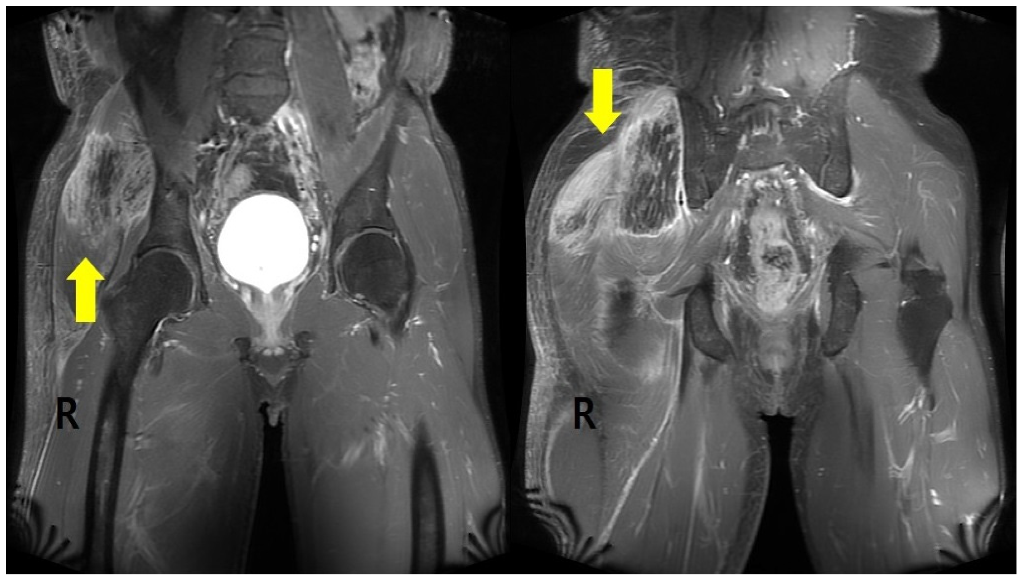 Healthcare 10 00047 g001
