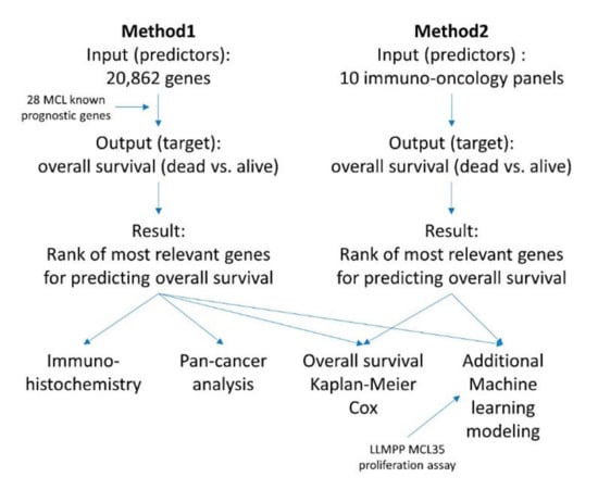 Healthcare 10 00155 g004