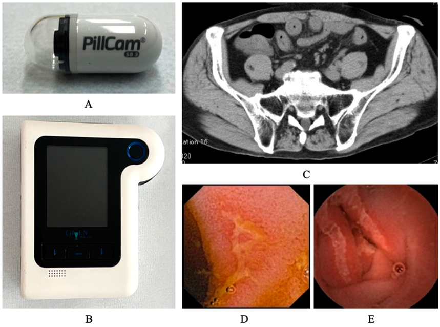 Healthcare 10 00218 g001