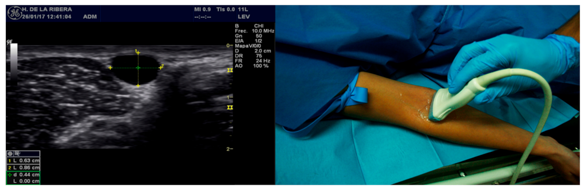 Healthcare 10 00261 g001 Healthcare 10 00261 g001