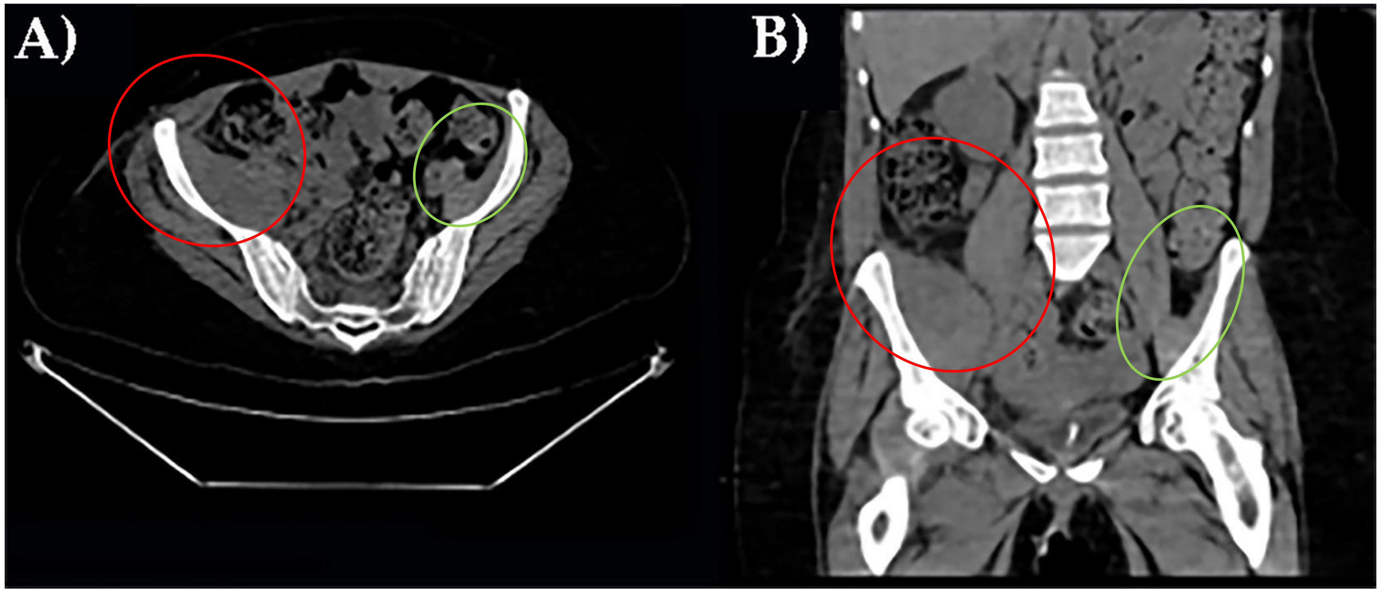 Healthcare 10 00297 g001