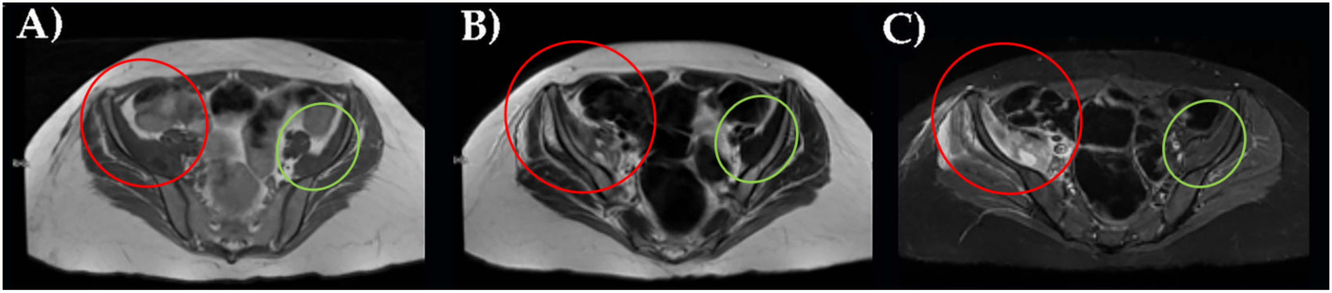 Healthcare 10 00297 g002