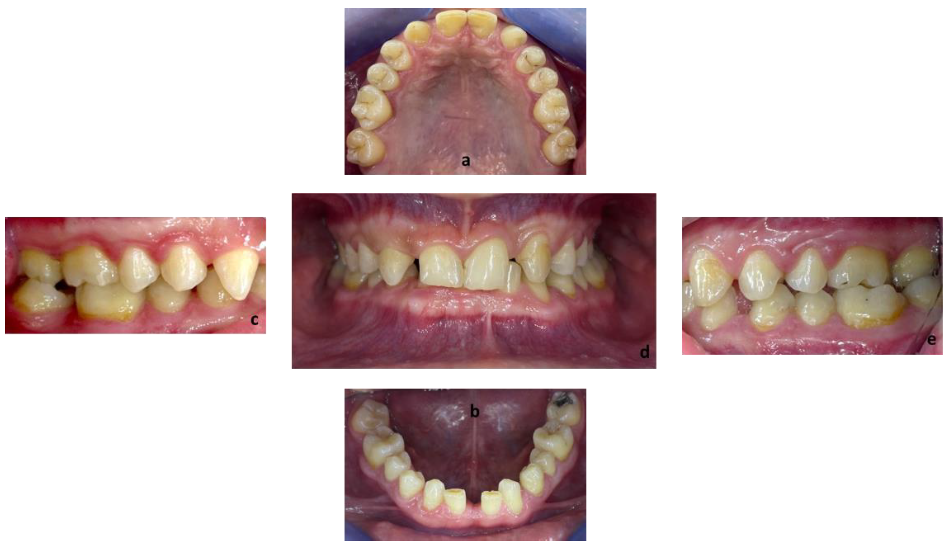 Healthcare 10 00382 g002