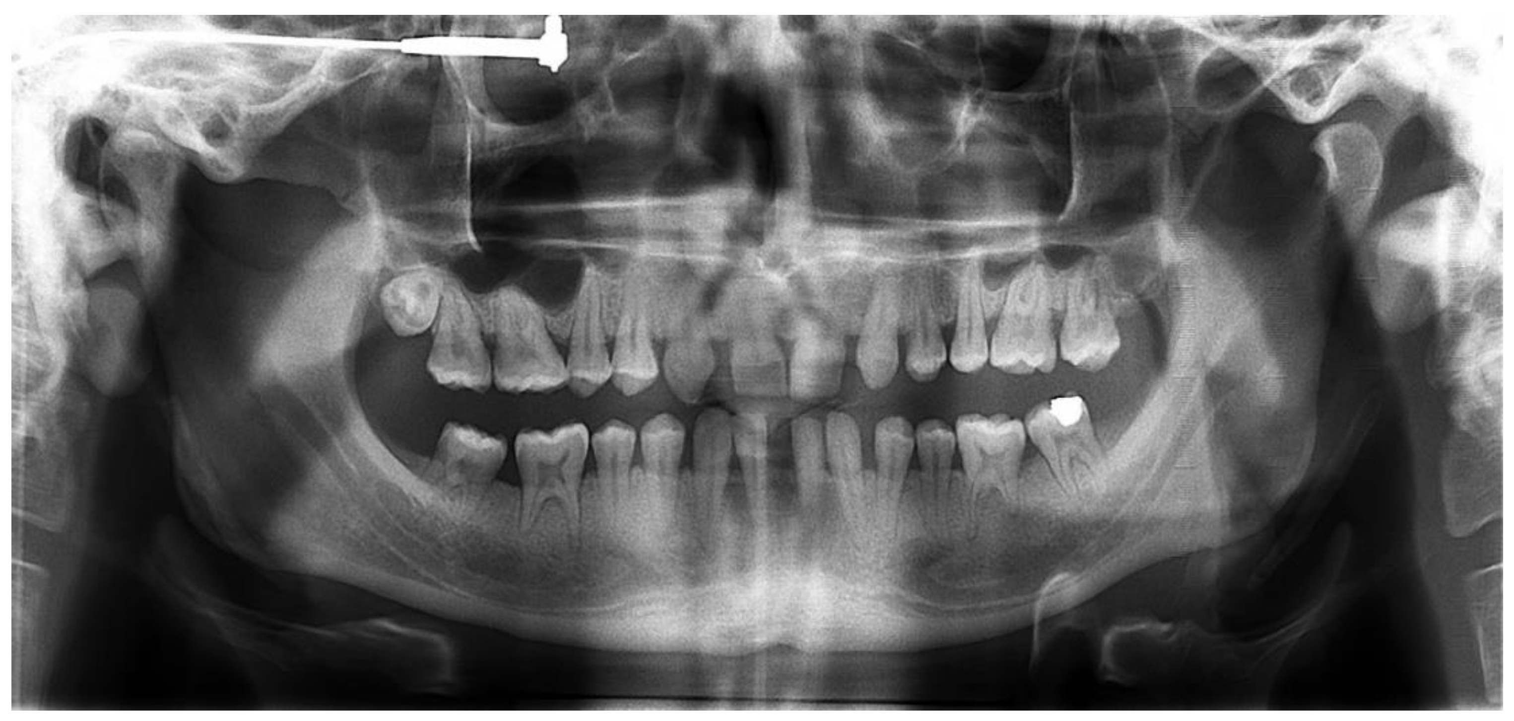 Healthcare 10 00382 g003