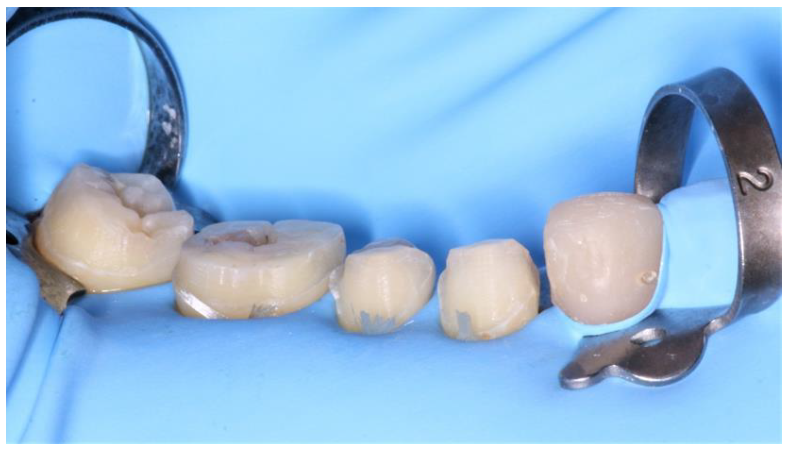 Healthcare 10 00382 g012