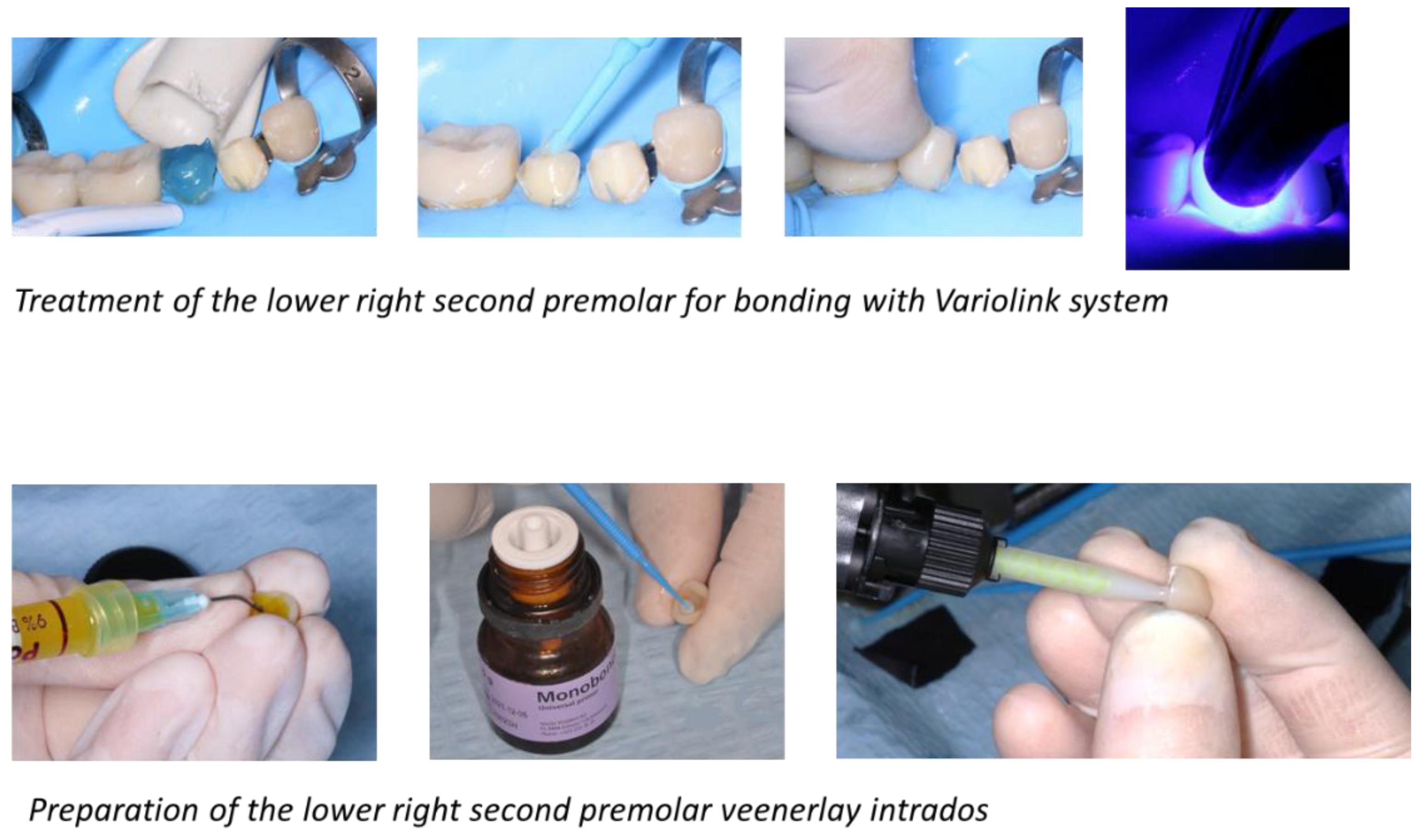 Healthcare 10 00382 g013