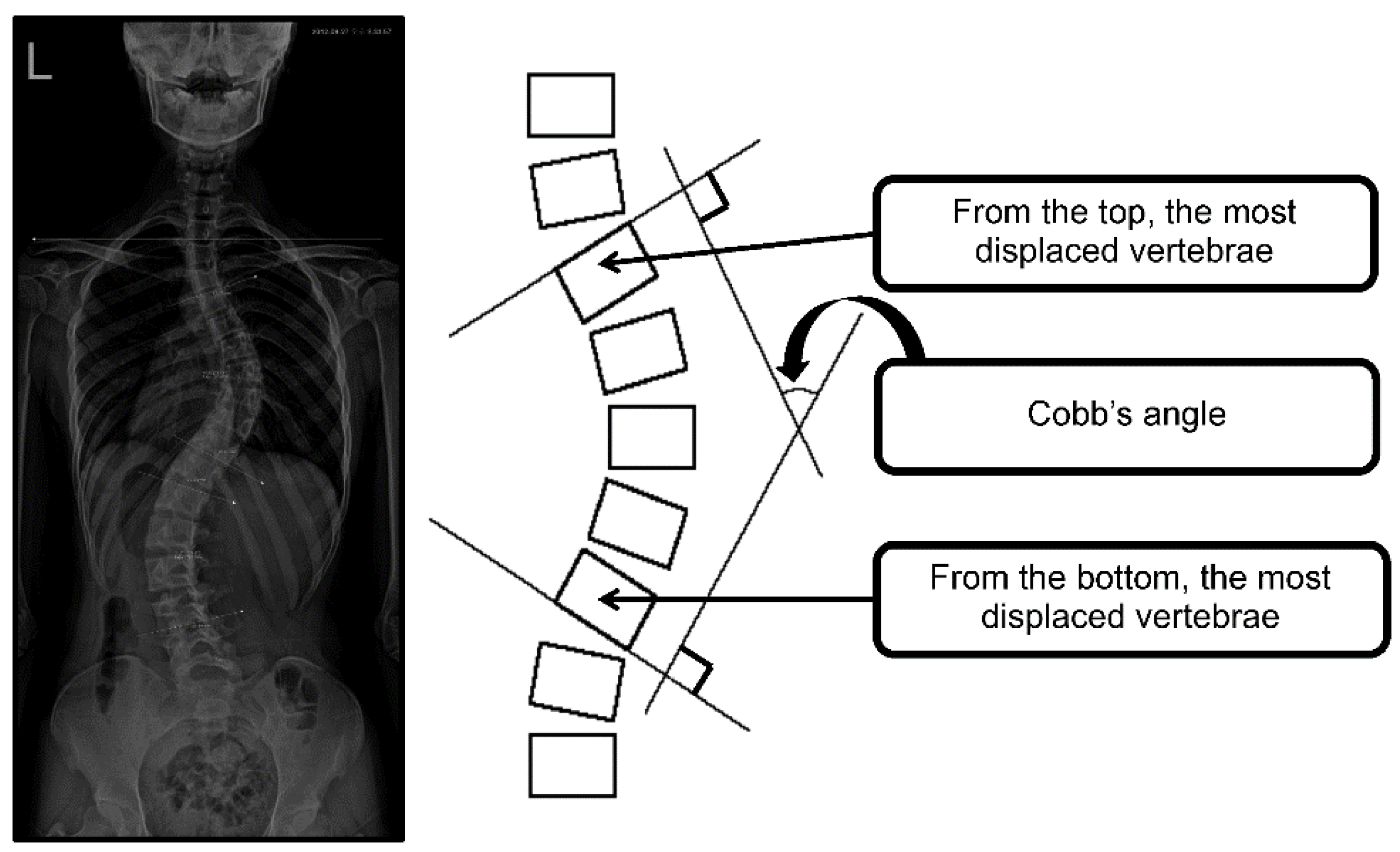 Healthcare 10 00398 g002 Healthcare 10 00398 g002