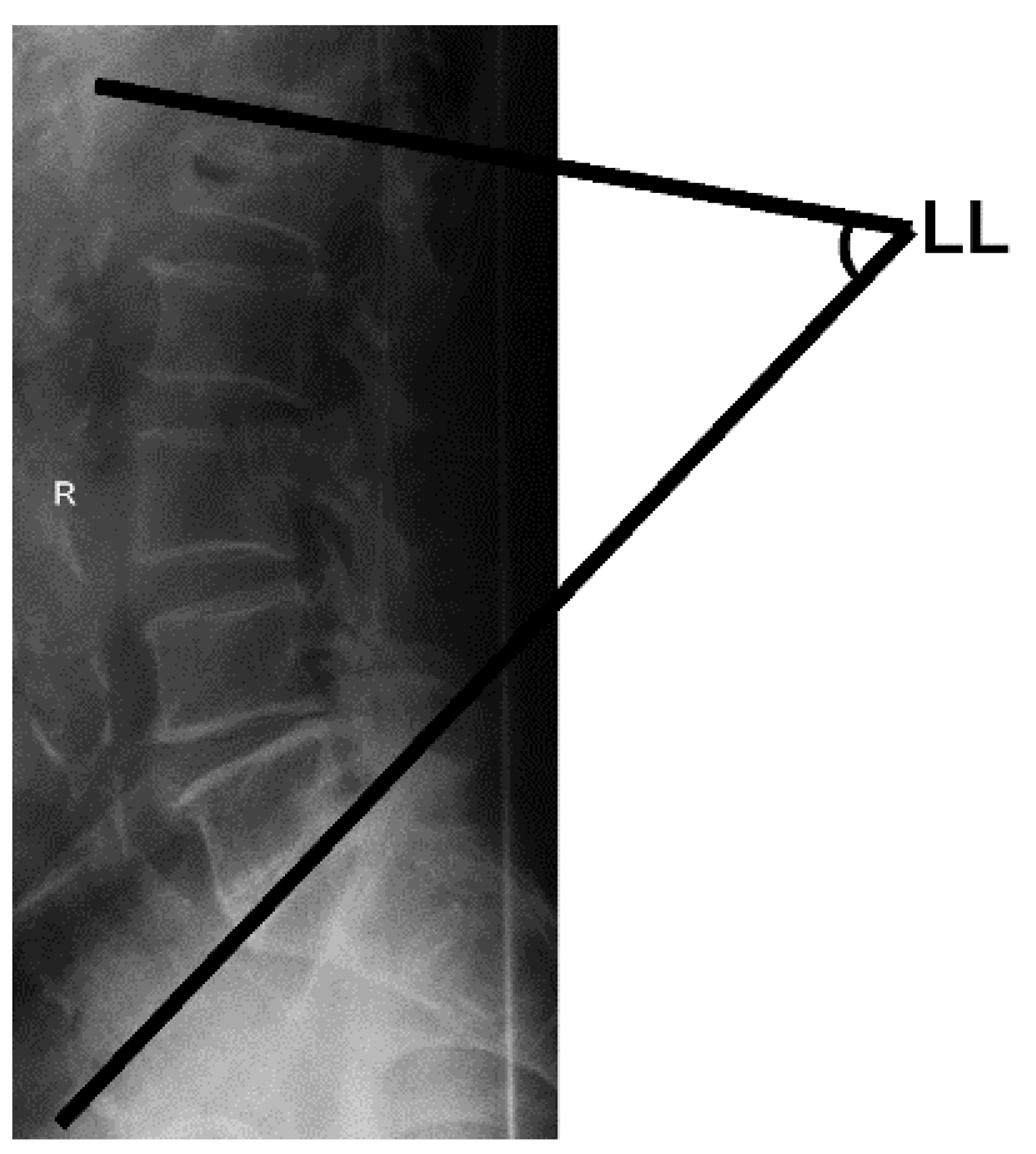 Healthcare 10 00398 g004 Healthcare 10 00398 g004