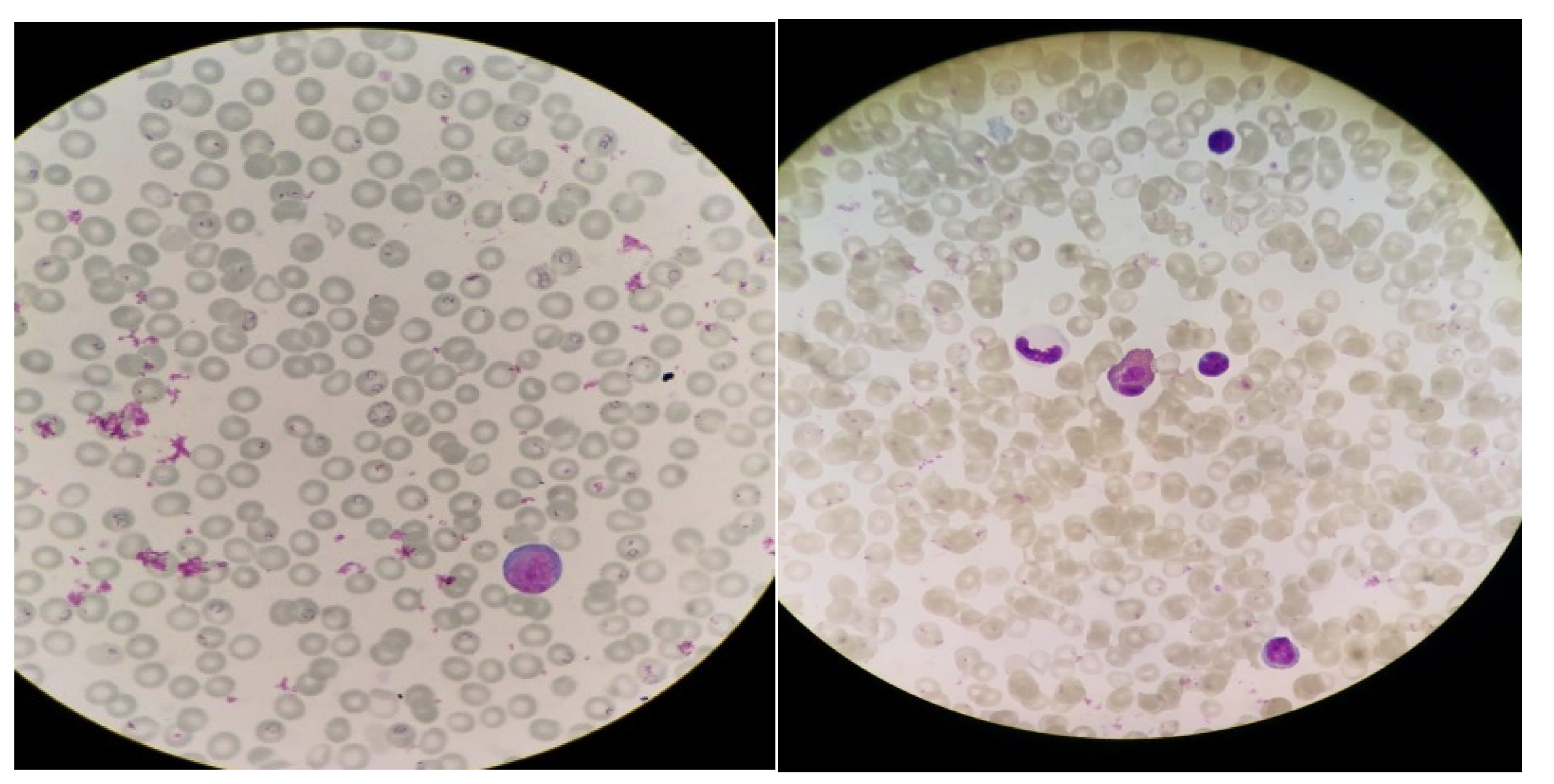 Healthcare 10 00413 g001