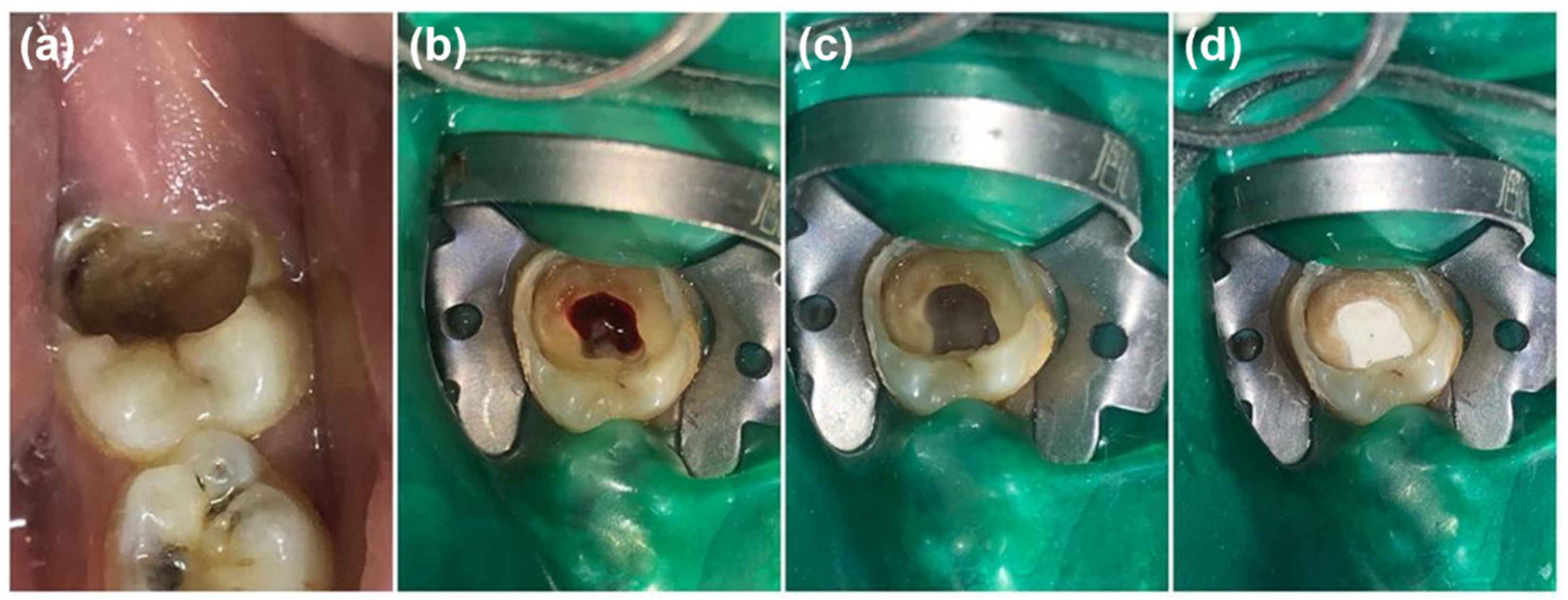 Healthcare 10 00431 g002