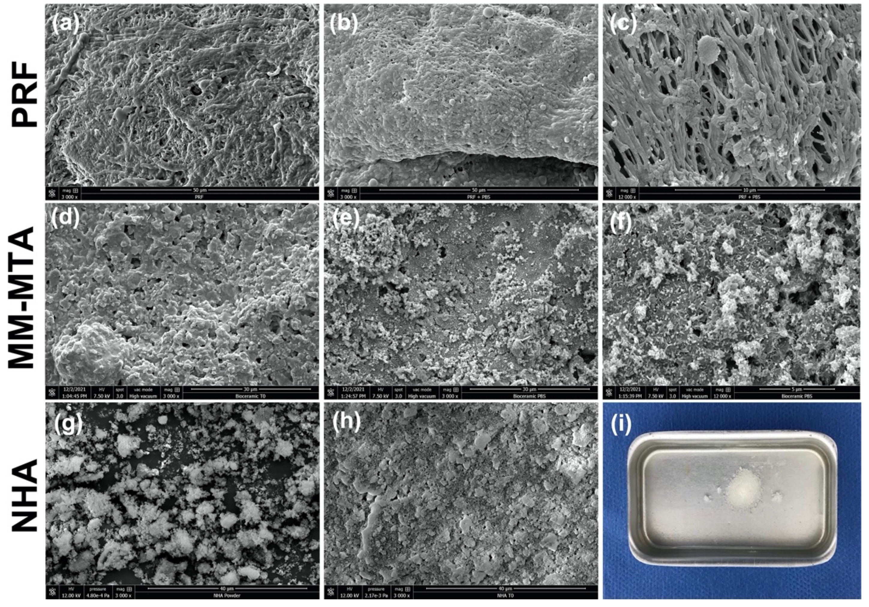 Healthcare 10 00431 g005