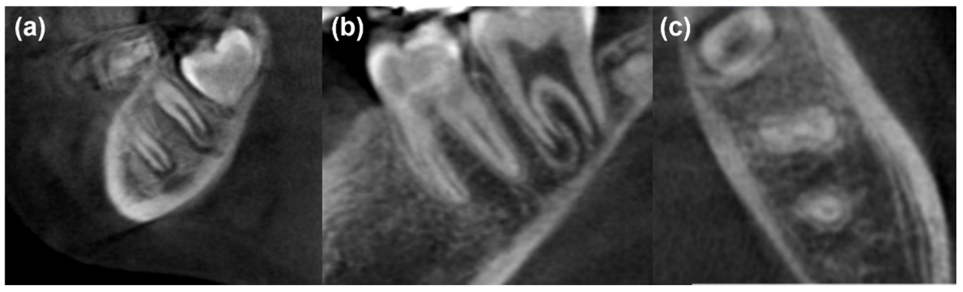 Healthcare 10 00431 g006