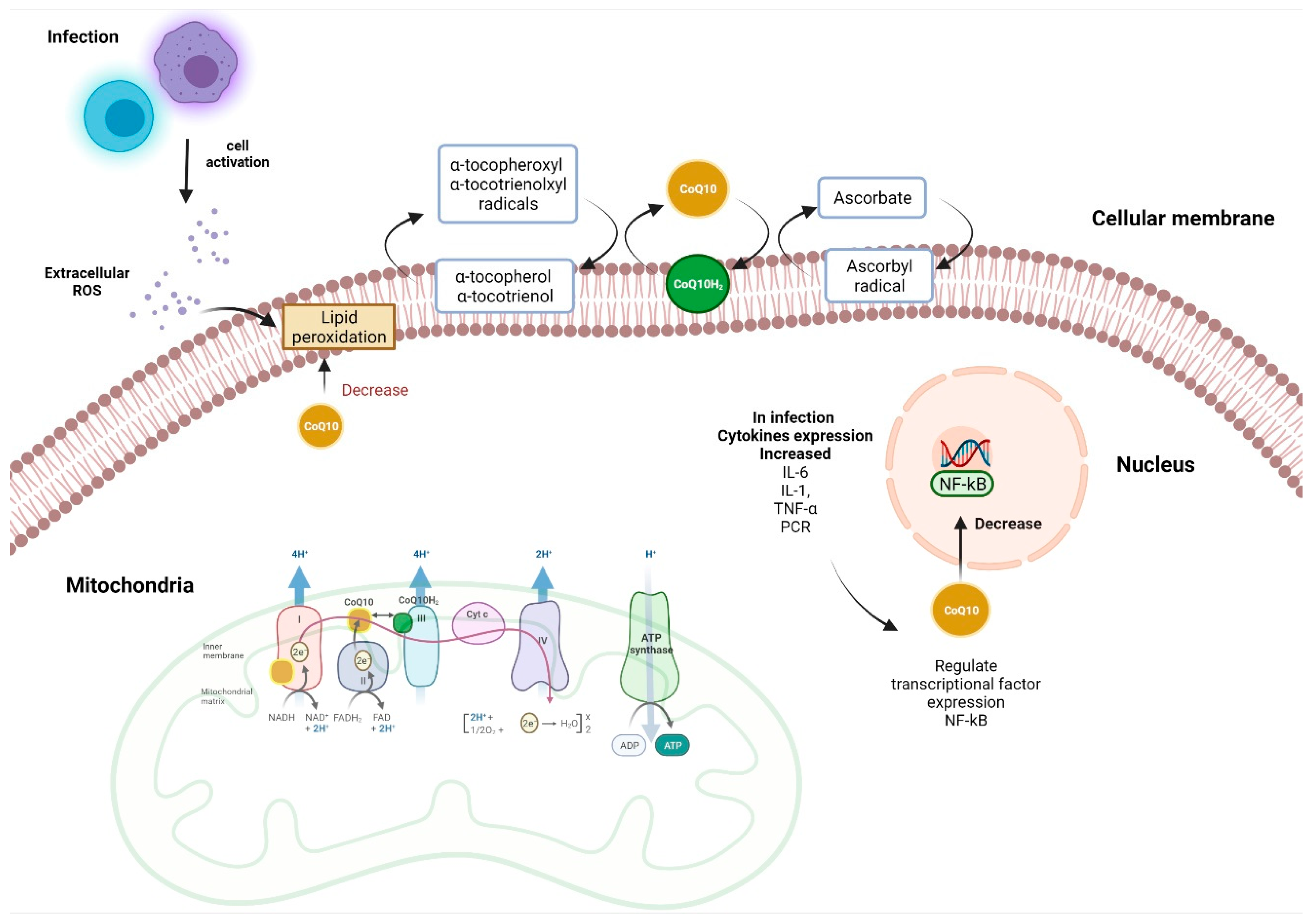 Healthcare 10 00487 g001