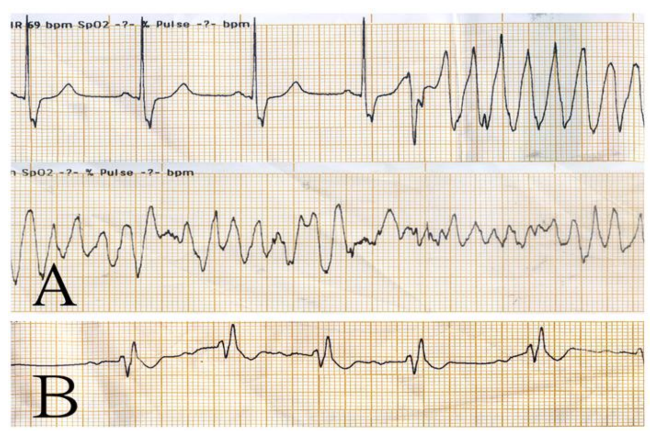 Healthcare 10 00507 g002