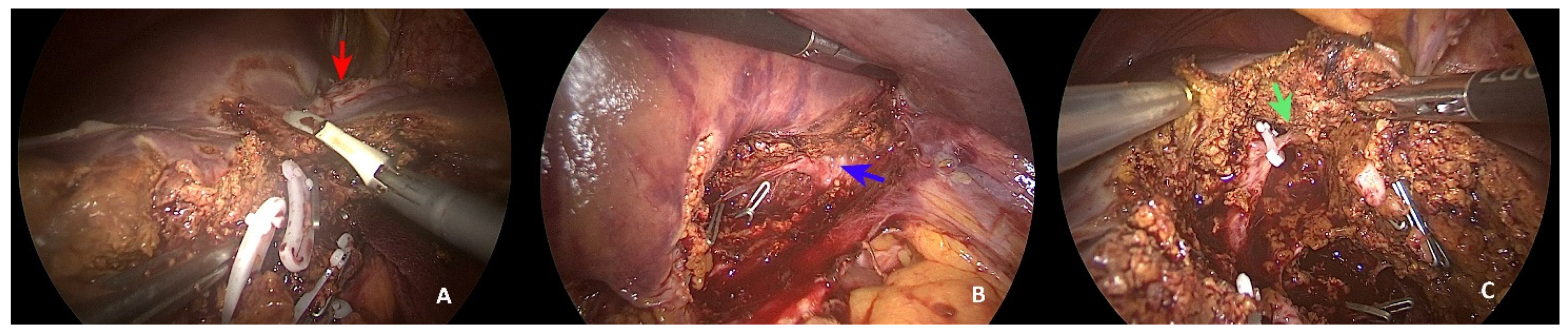 Healthcare 10 00517 g002