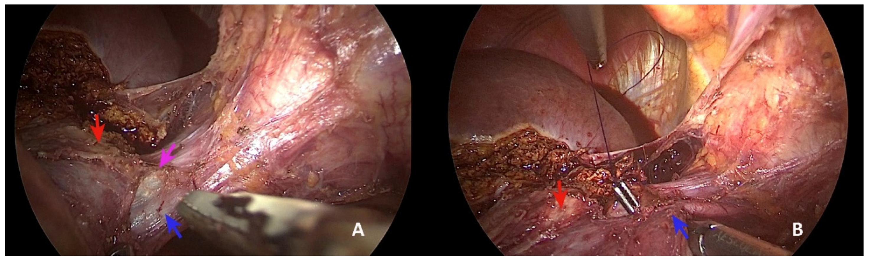 Healthcare 10 00517 g003