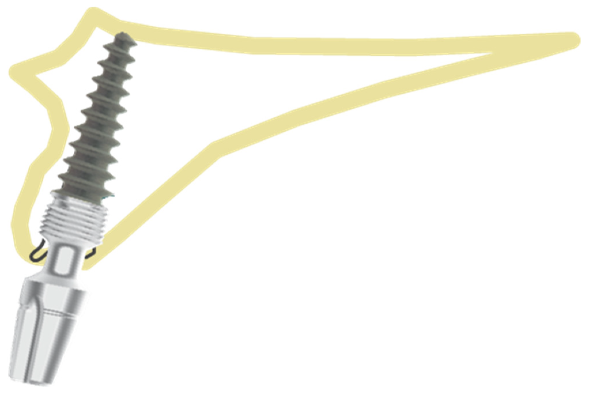 Healthcare 10 00598 g002