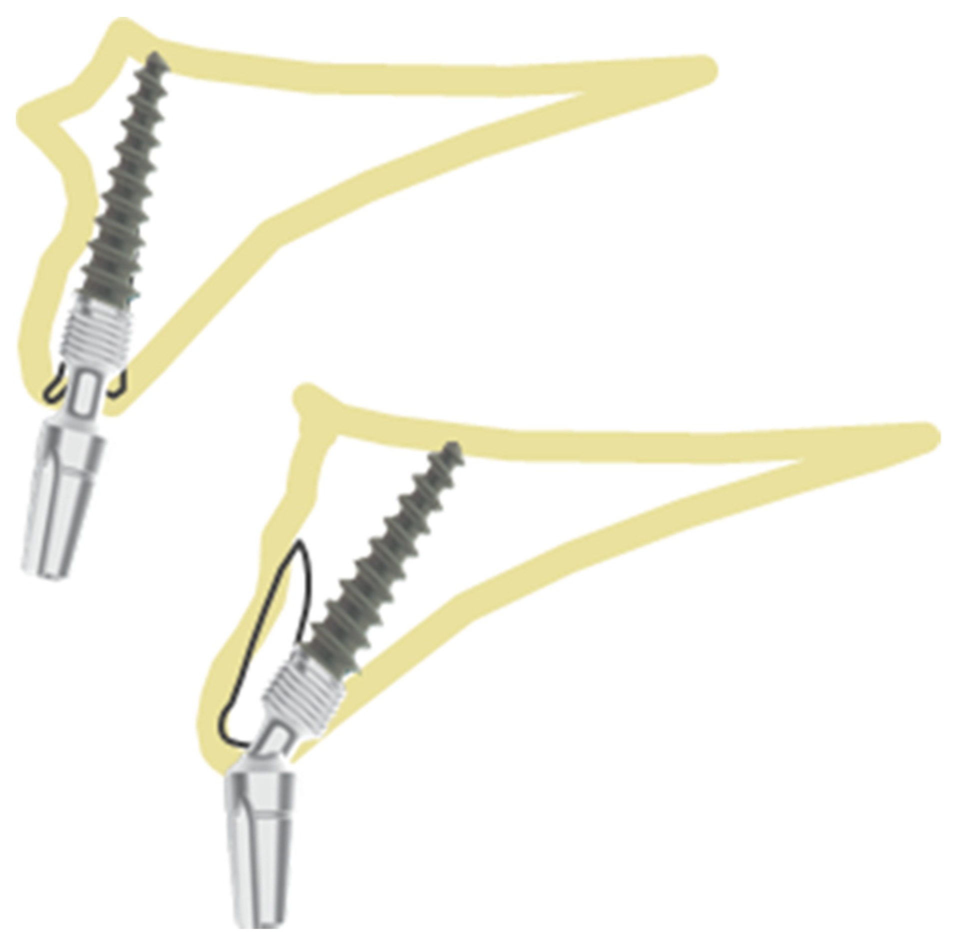 Healthcare 10 00598 g003