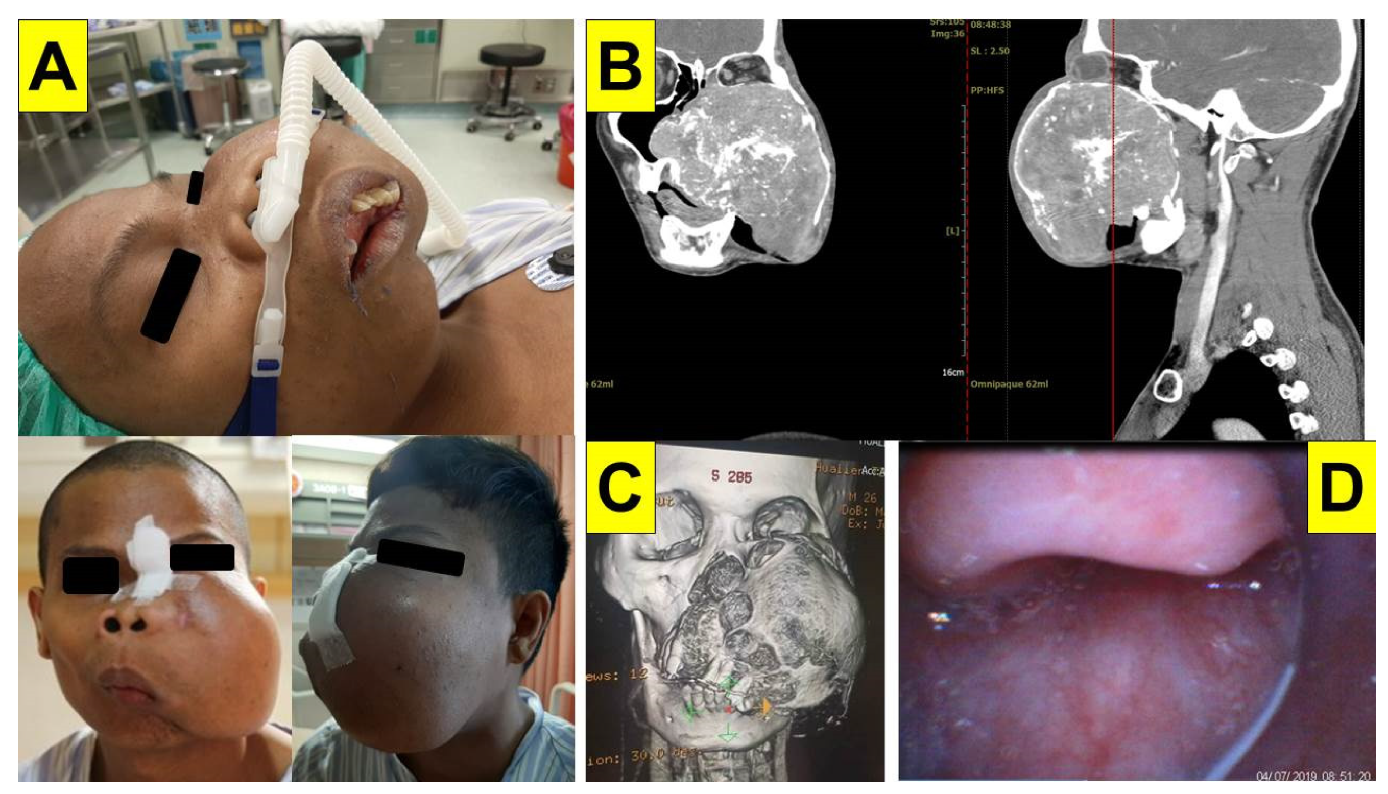 Healthcare 10 00741 g003