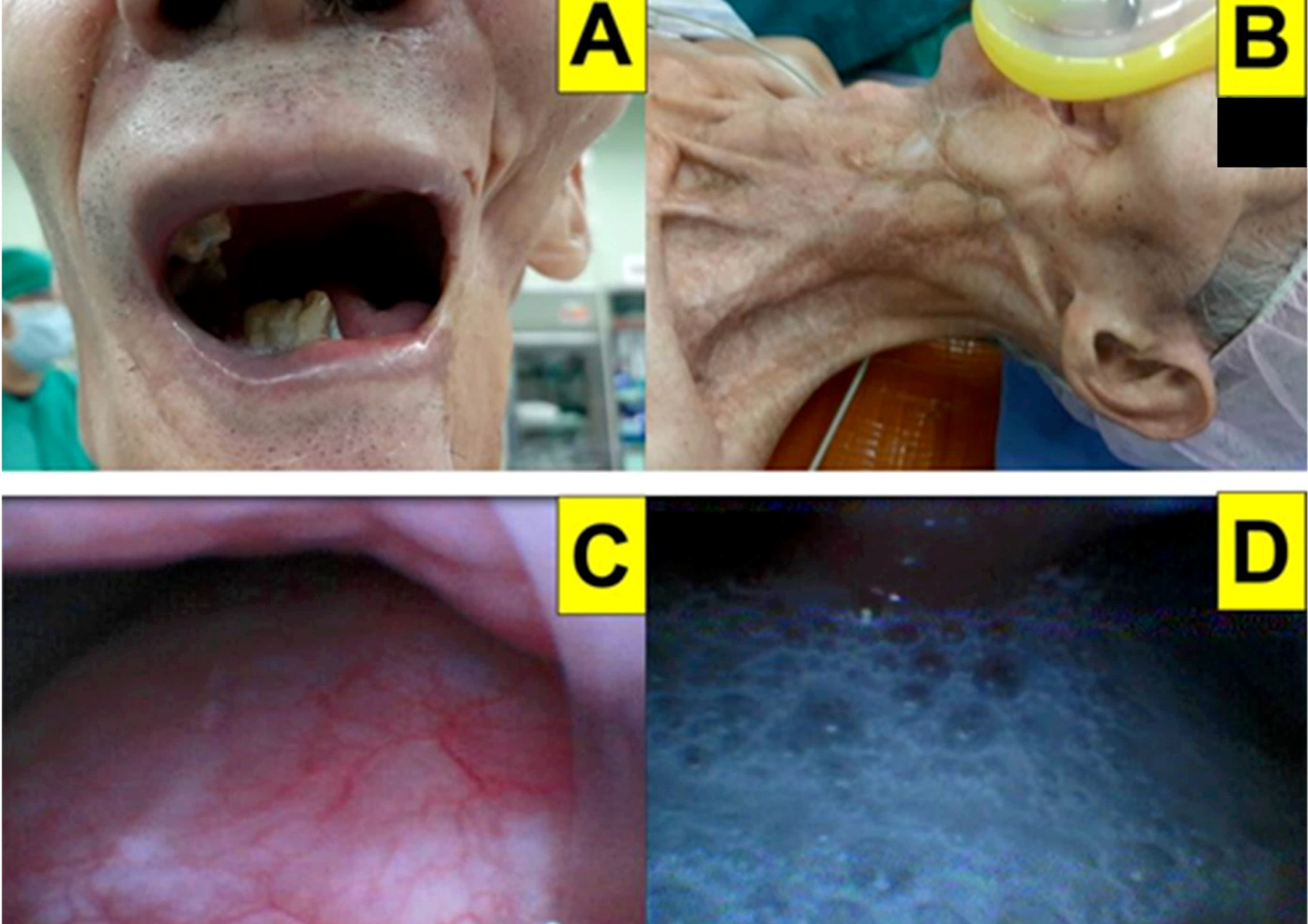 Healthcare 10 00741 g005