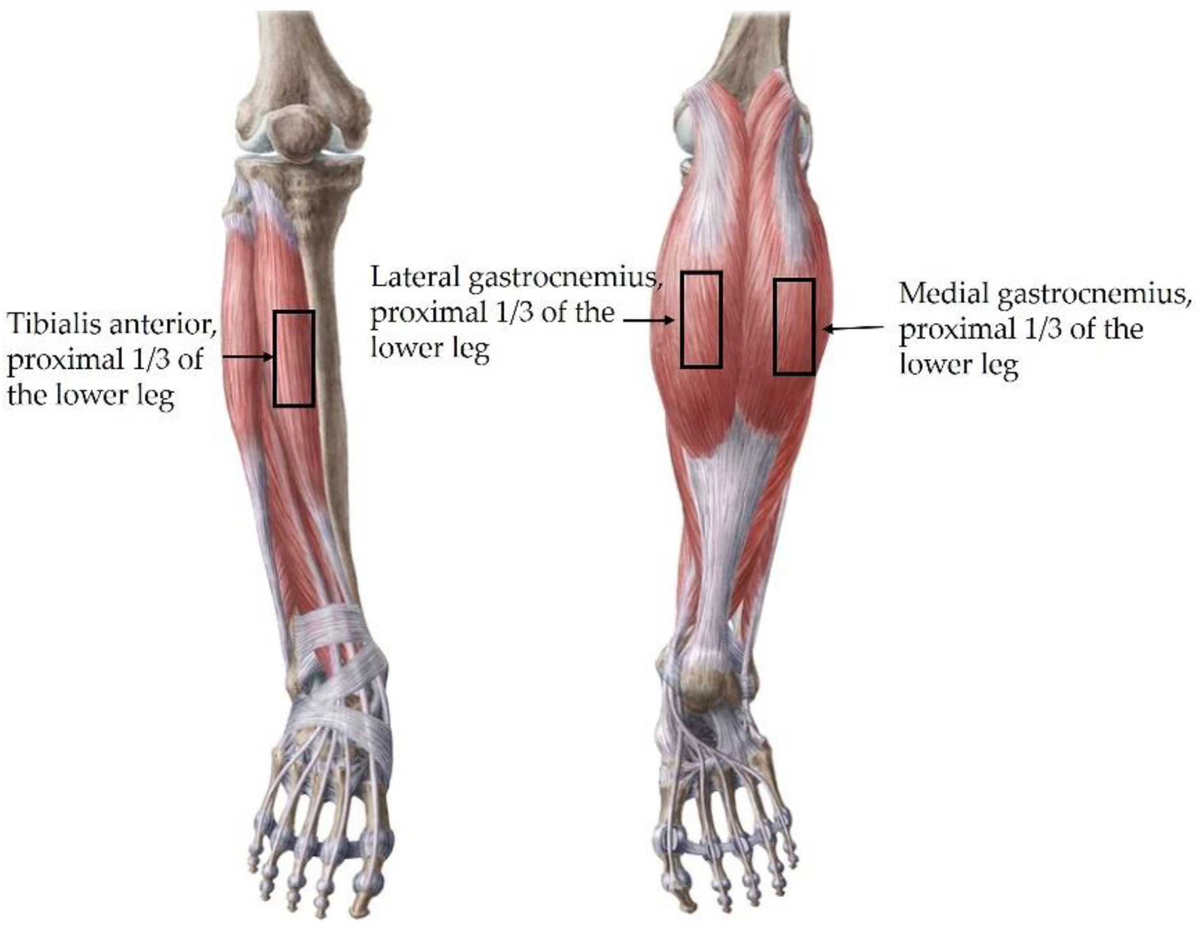 Healthcare 10 00785 g003