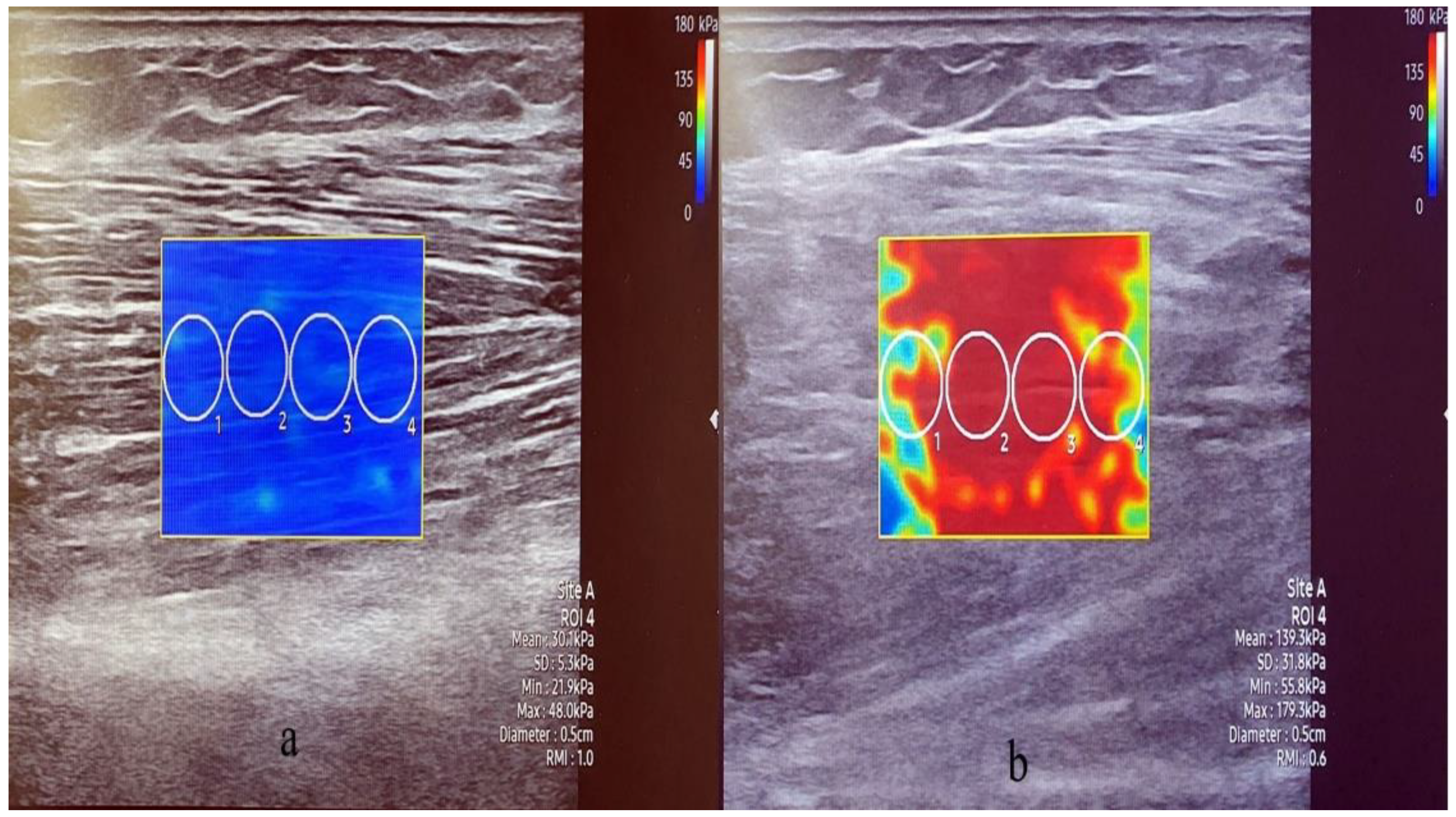 Healthcare 10 00785 g004