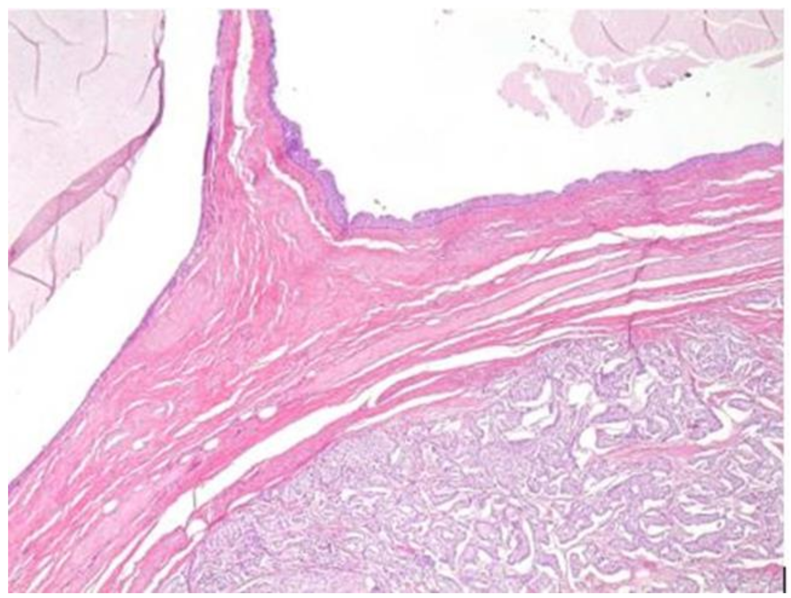 Healthcare 10 00805 g003