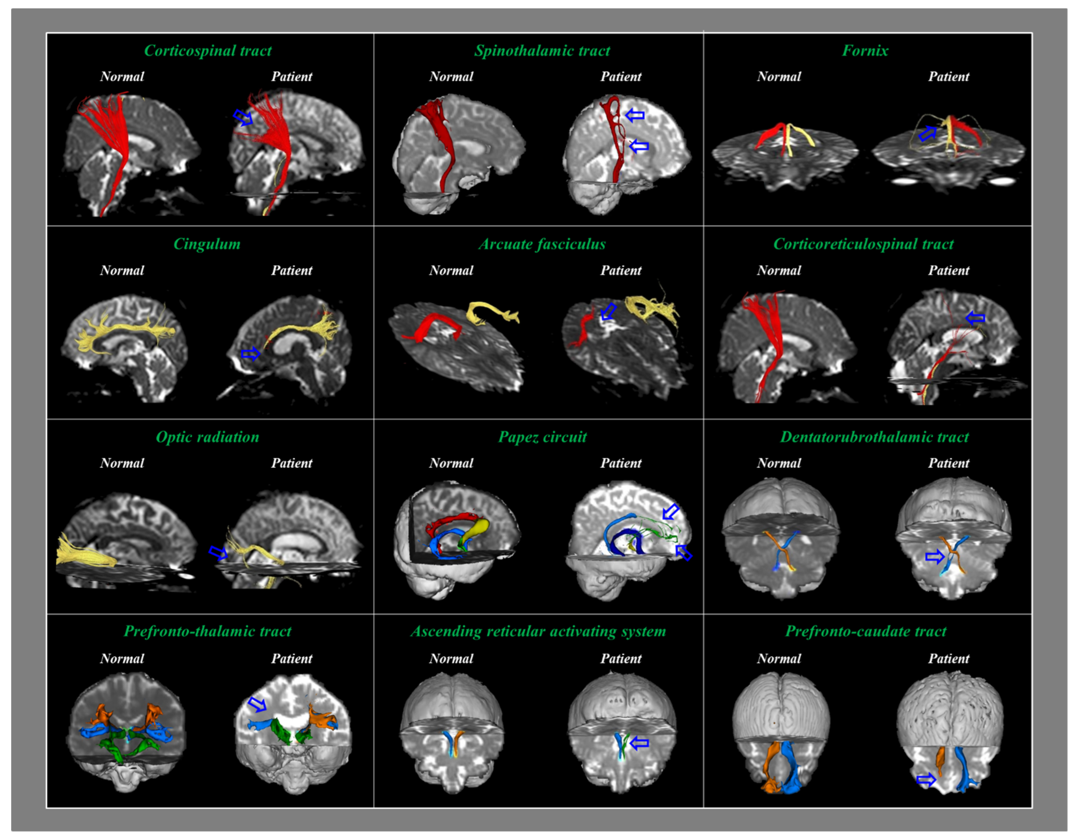 Healthcare 10 00931 g002