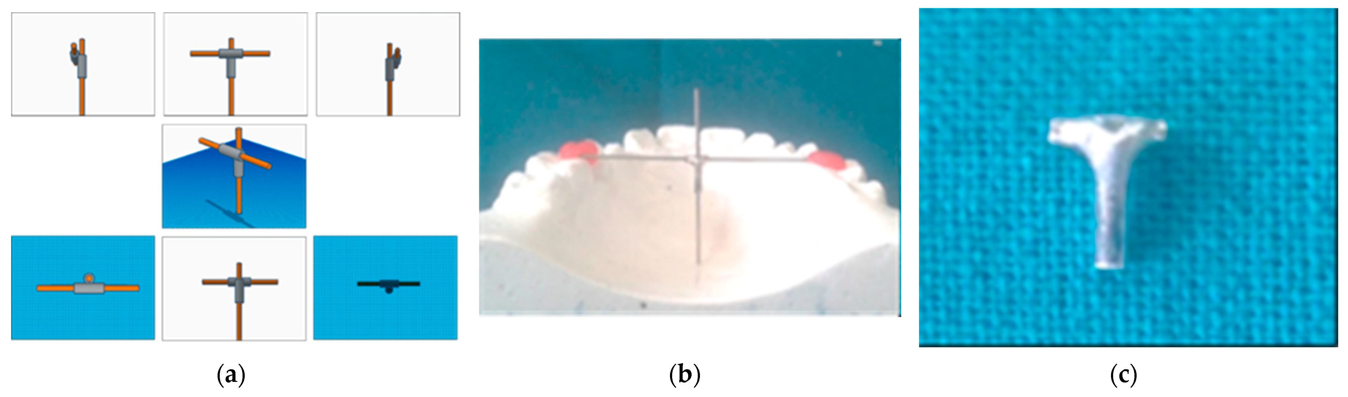 Healthcare 10 00939 g003