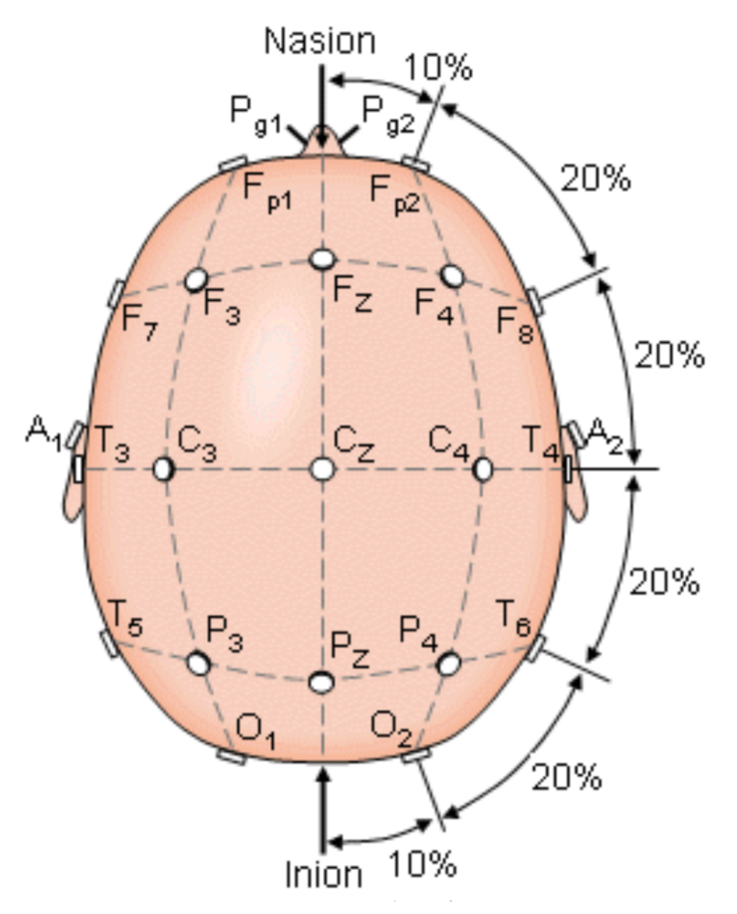 Healthcare 10 00976 g001
