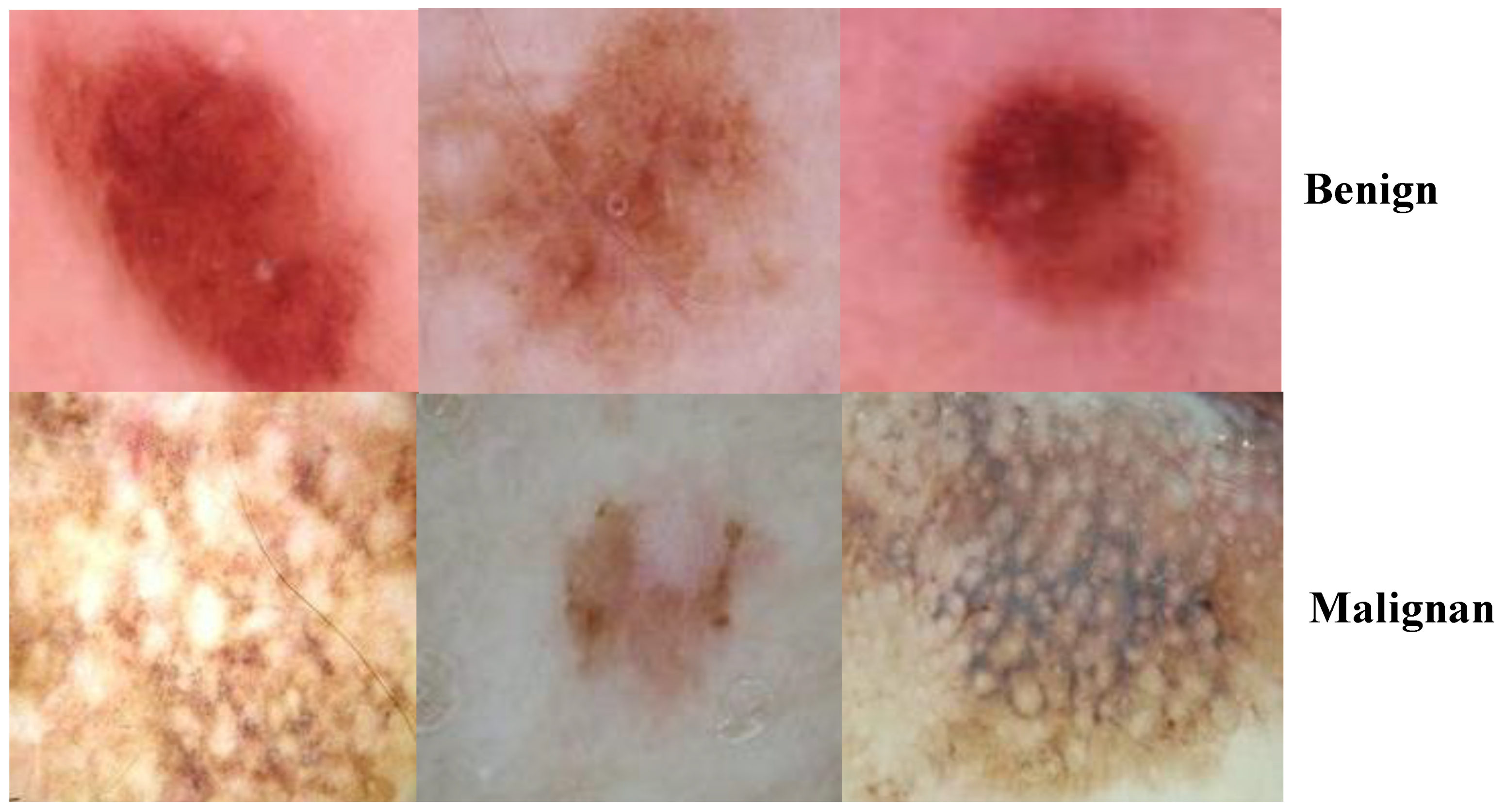 Healthcare 10 01183 g005