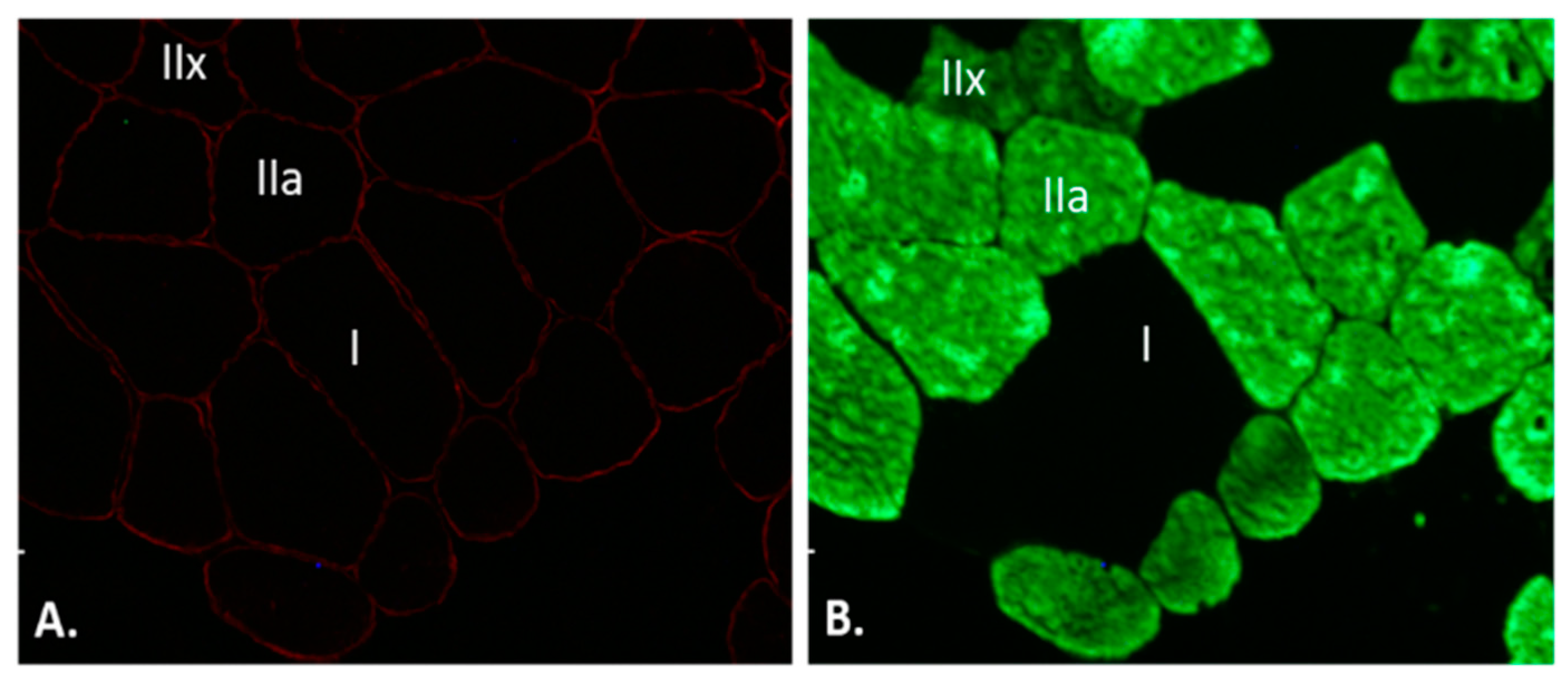 Healthcare 10 01217 g002 Healthcare 10 01217 g002