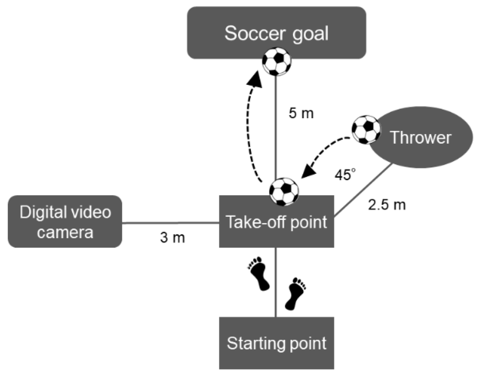 Healthcare 10 01272 g001