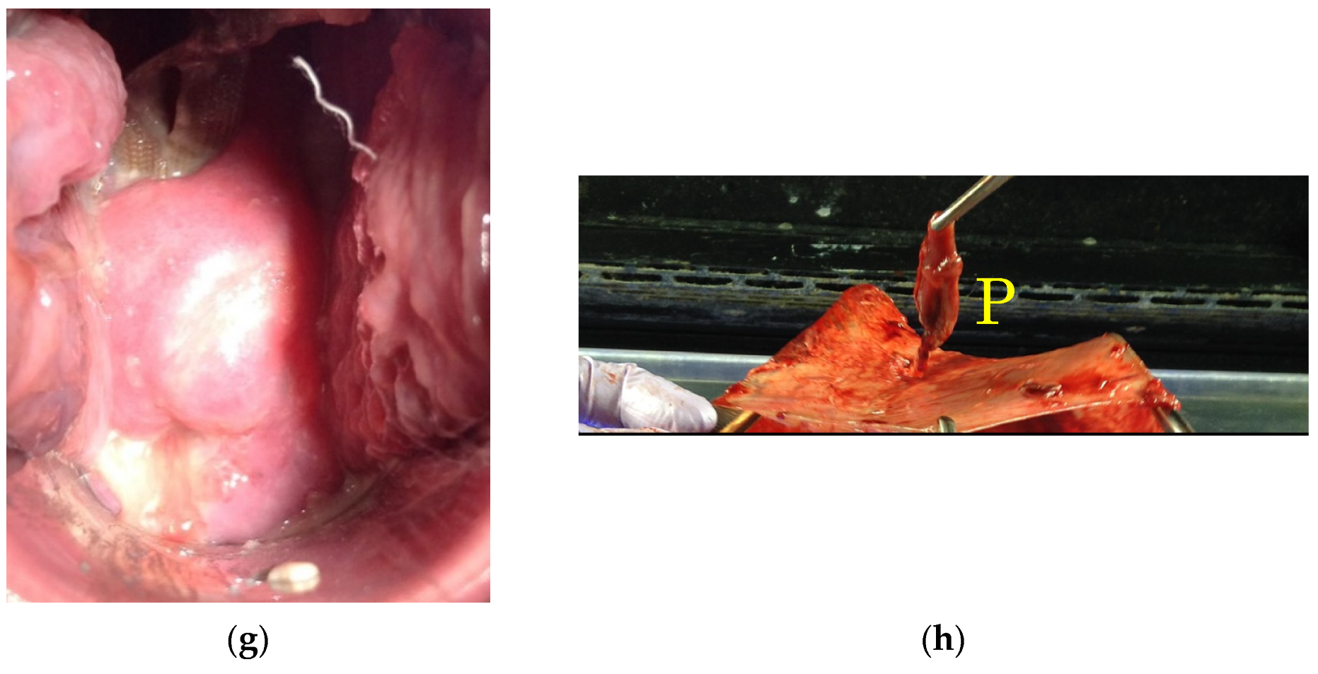Healthcare 10 01312 g003b