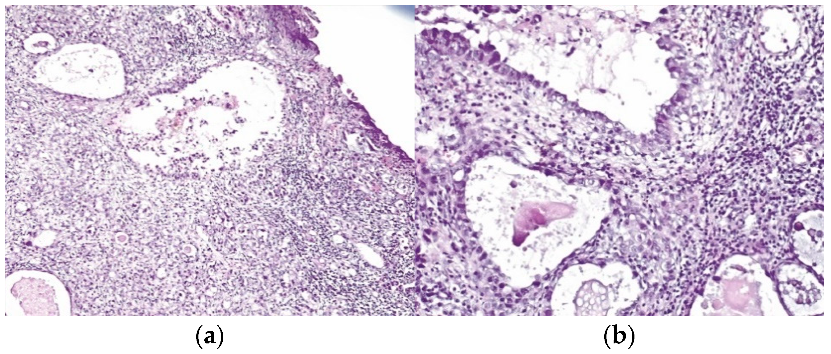 Healthcare 10 01410 g001