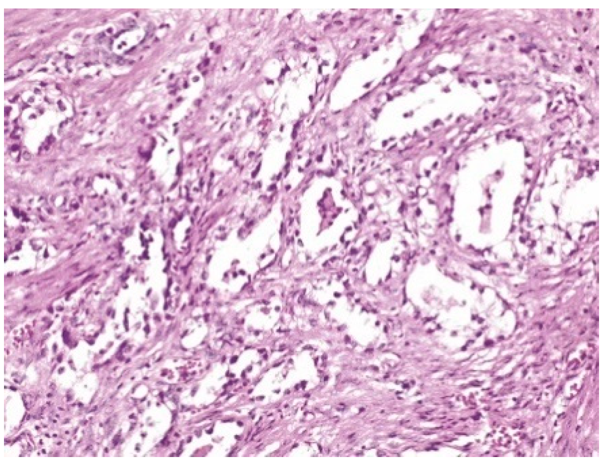 Healthcare 10 01410 g002