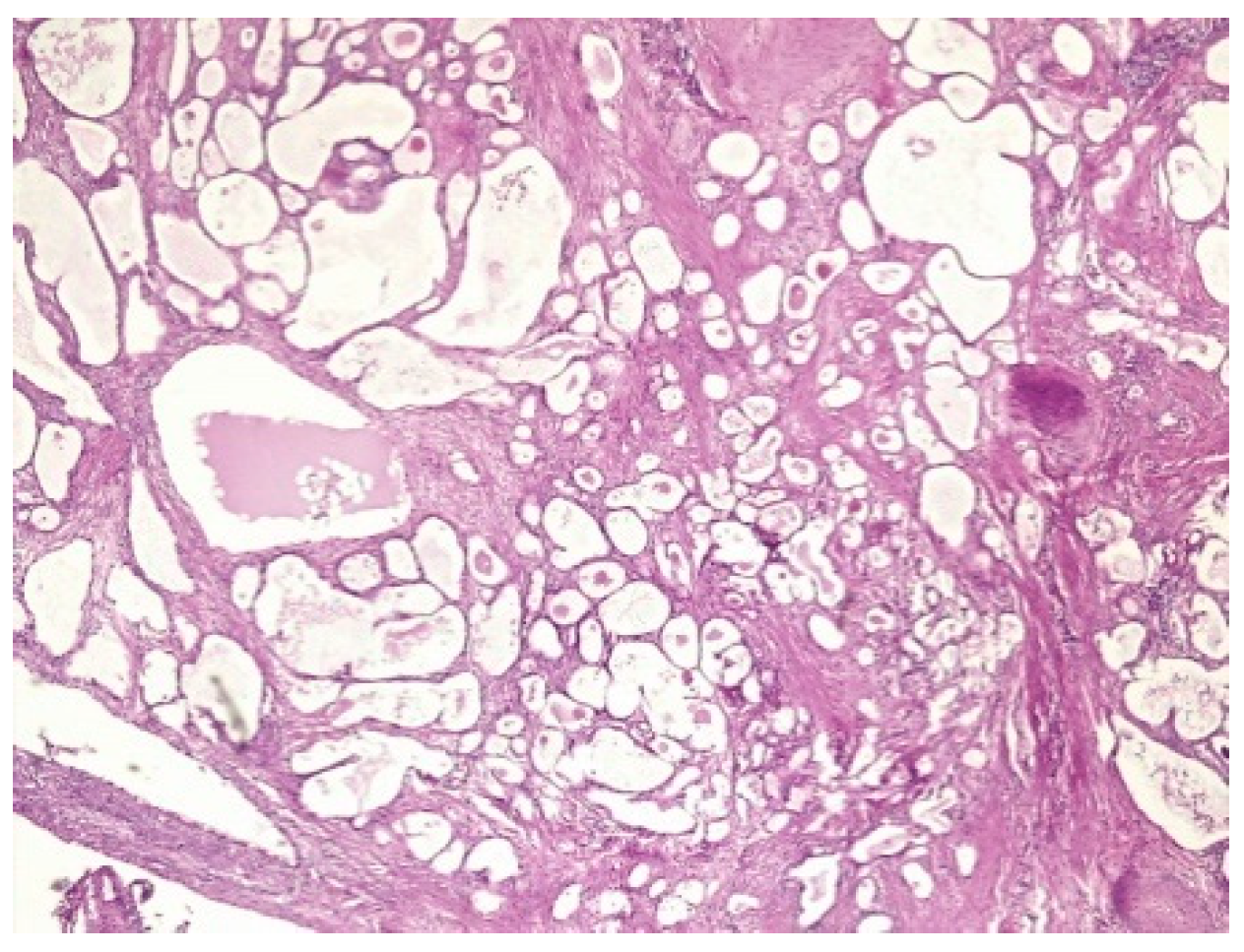 Healthcare 10 01410 g003