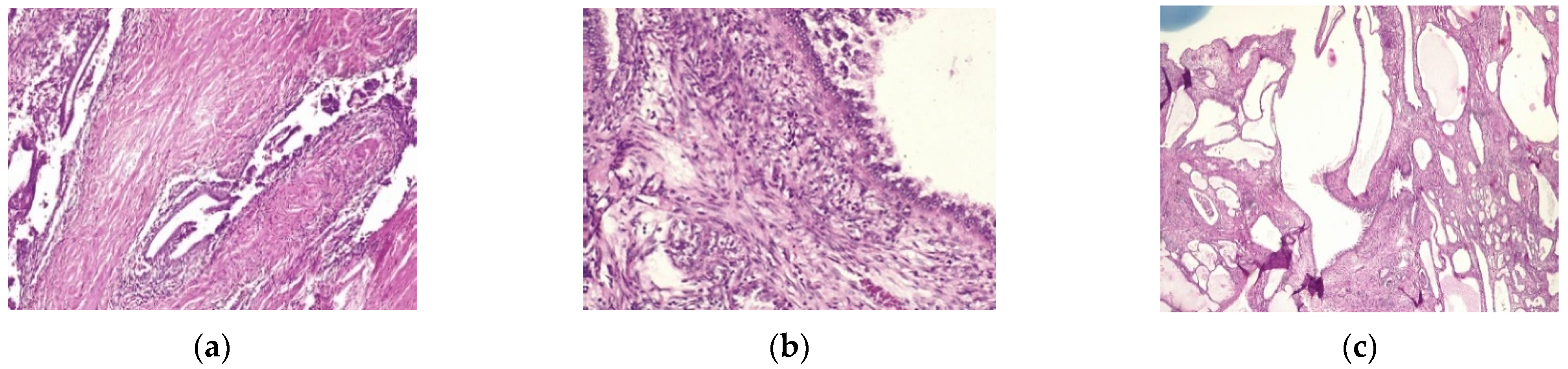 Healthcare 10 01410 g004